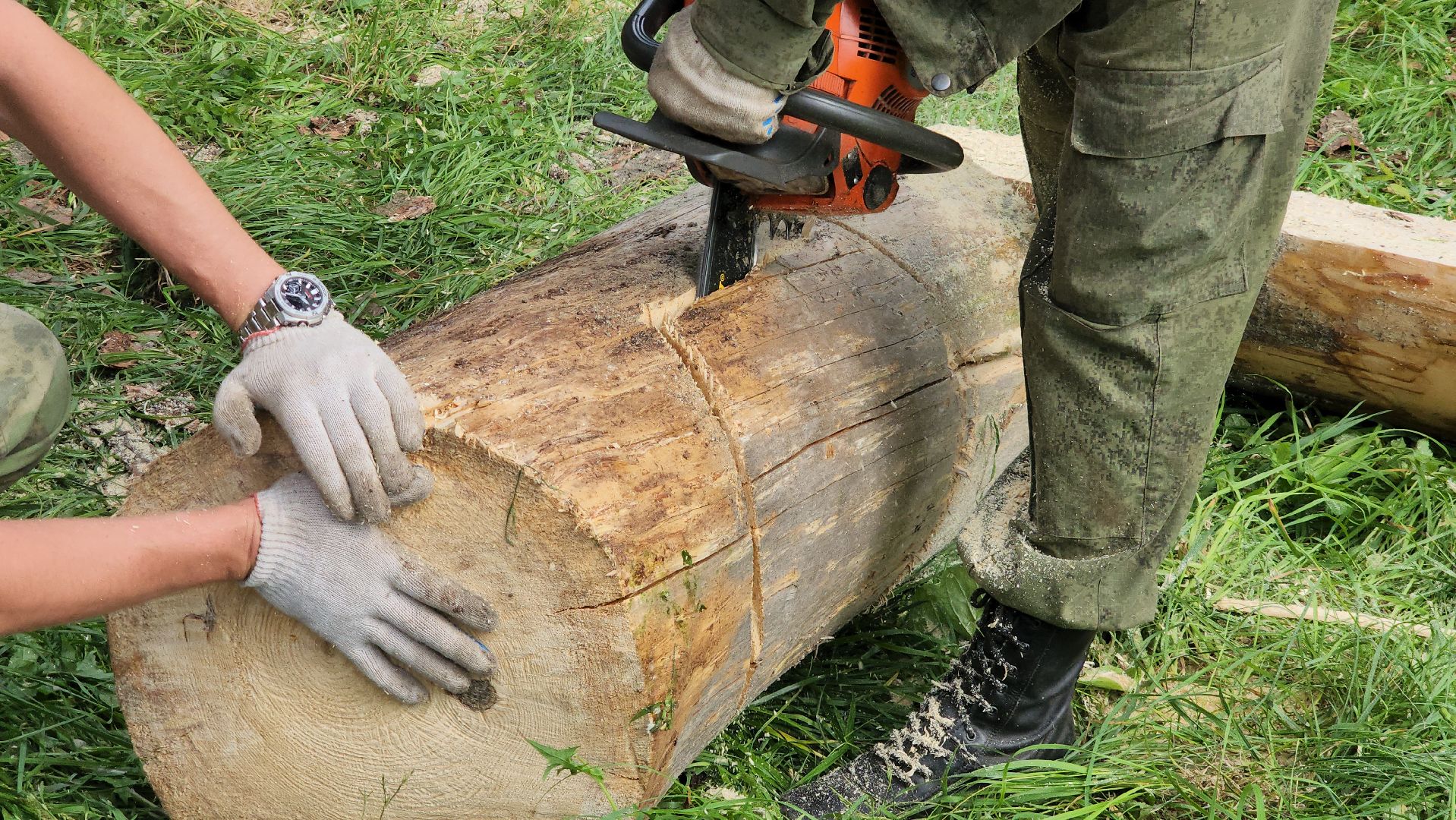 Лес, лавочки, Благоустройство, Лобня,