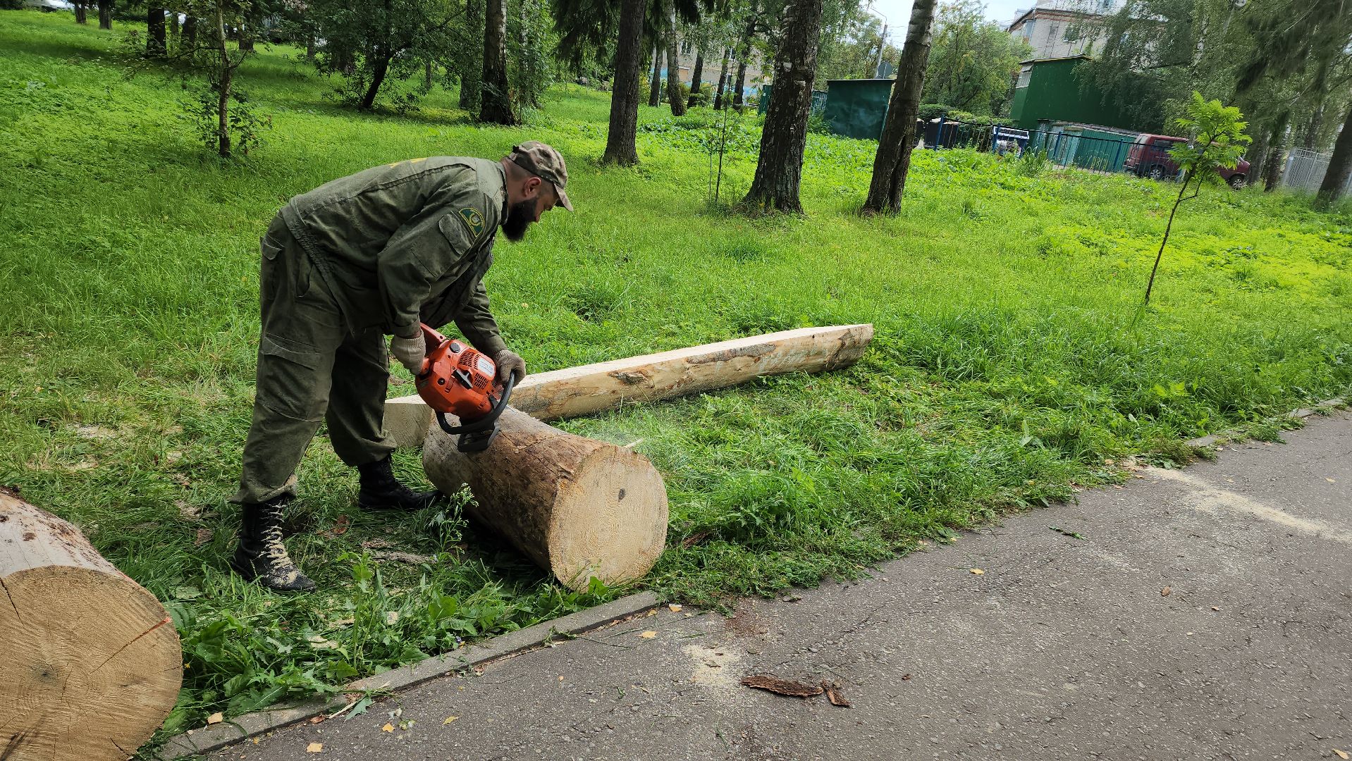 Лес, лавочки, Благоустройство, Лобня,