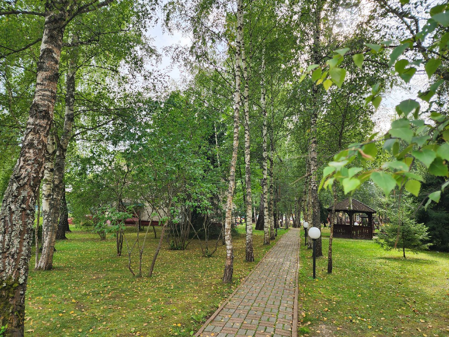 Подольск, Мечта, Курская область, Дети,