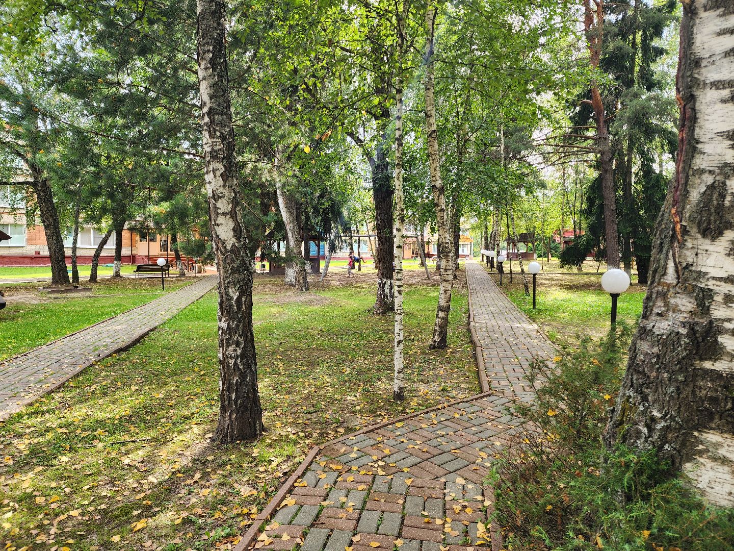 Подольск, Мечта, Курская область, Дети,