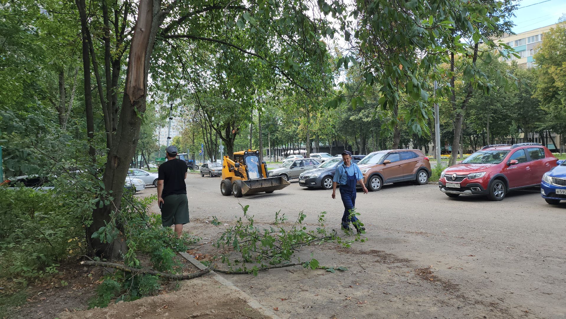 обрезка деревьев, пушкино, благоустройство, коммунальная служба,