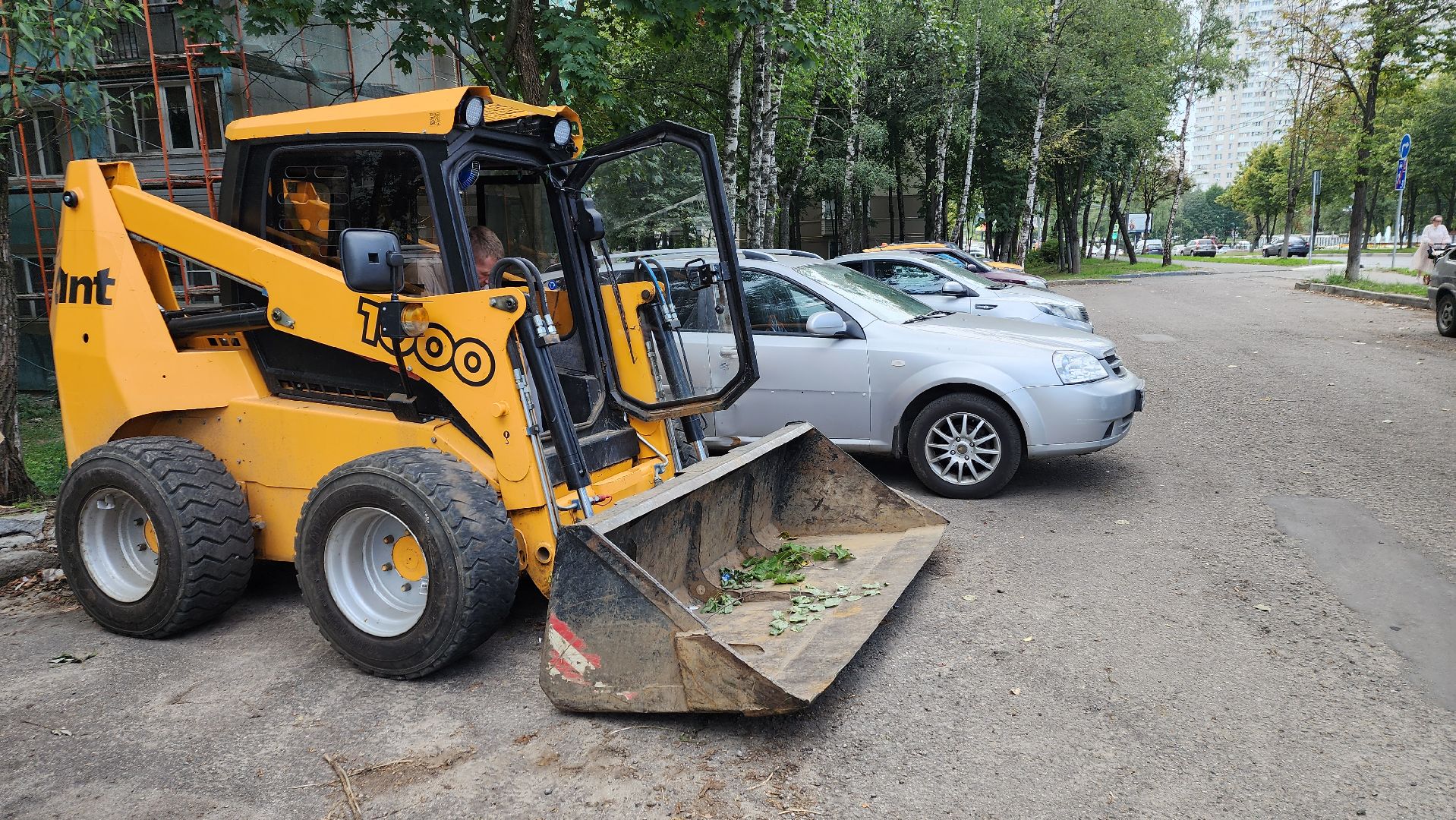 обрезка деревьев, пушкино, благоустройство, коммунальная служба,