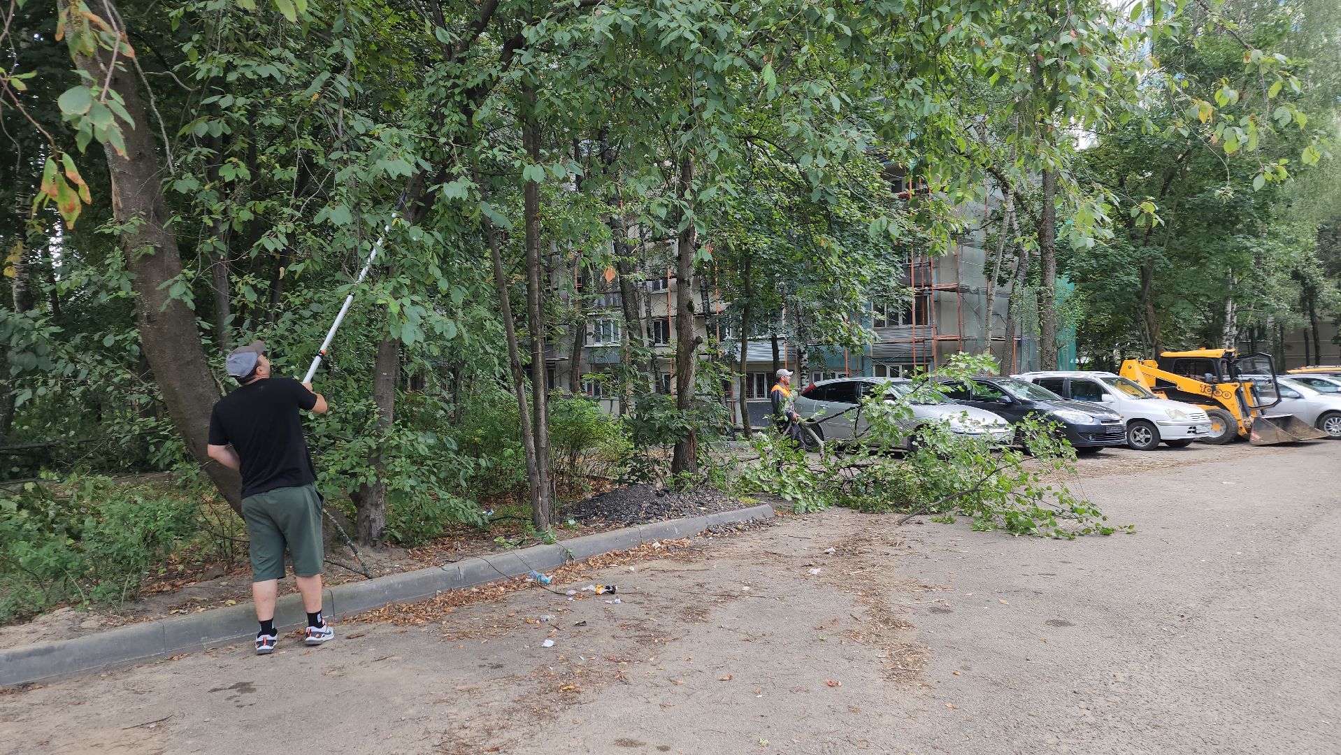 обрезка деревьев, пушкино, благоустройство, коммунальная служба,