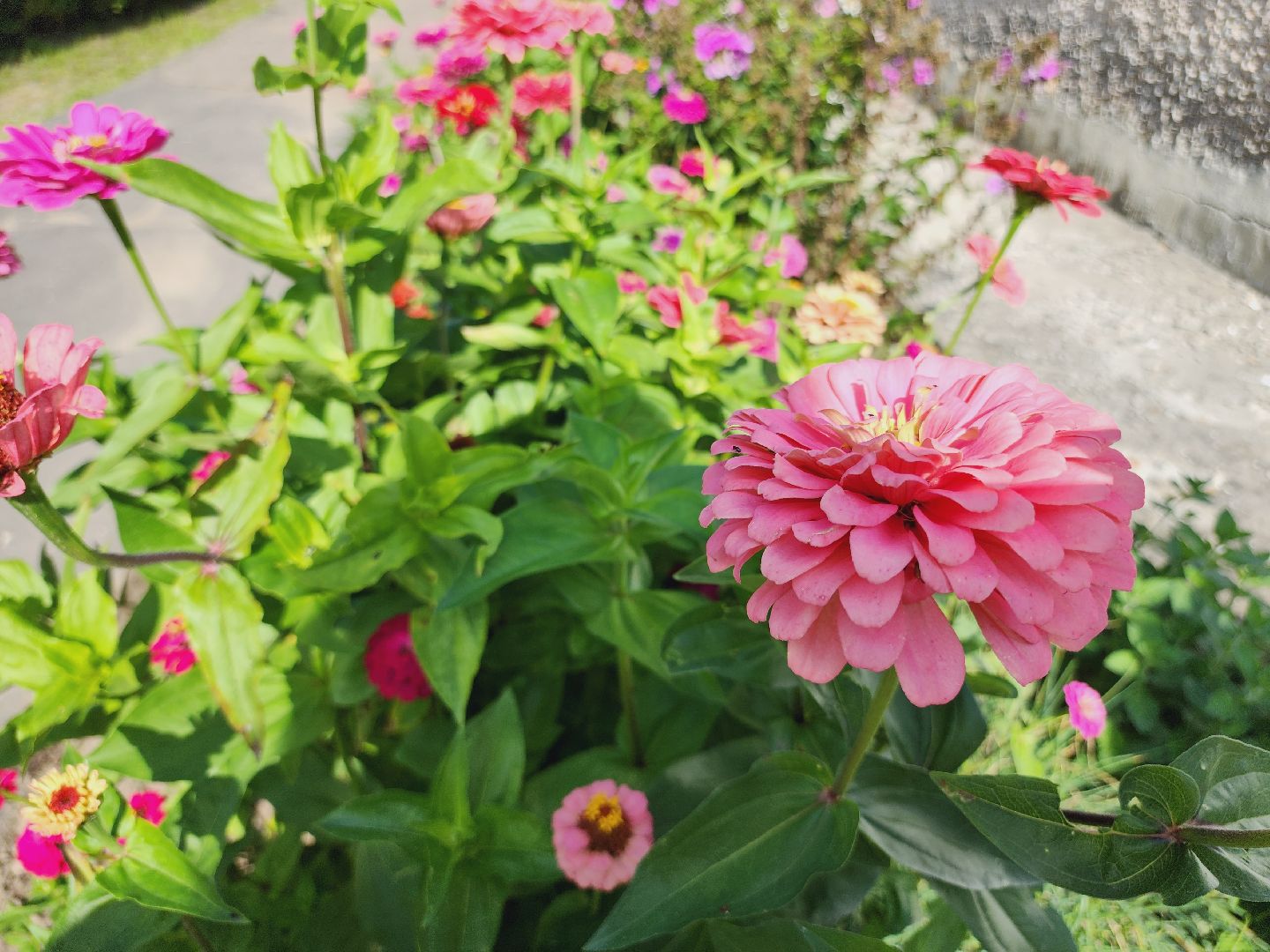 Егорьевск, Подмосковье, Московская область, Приемка, Школа,