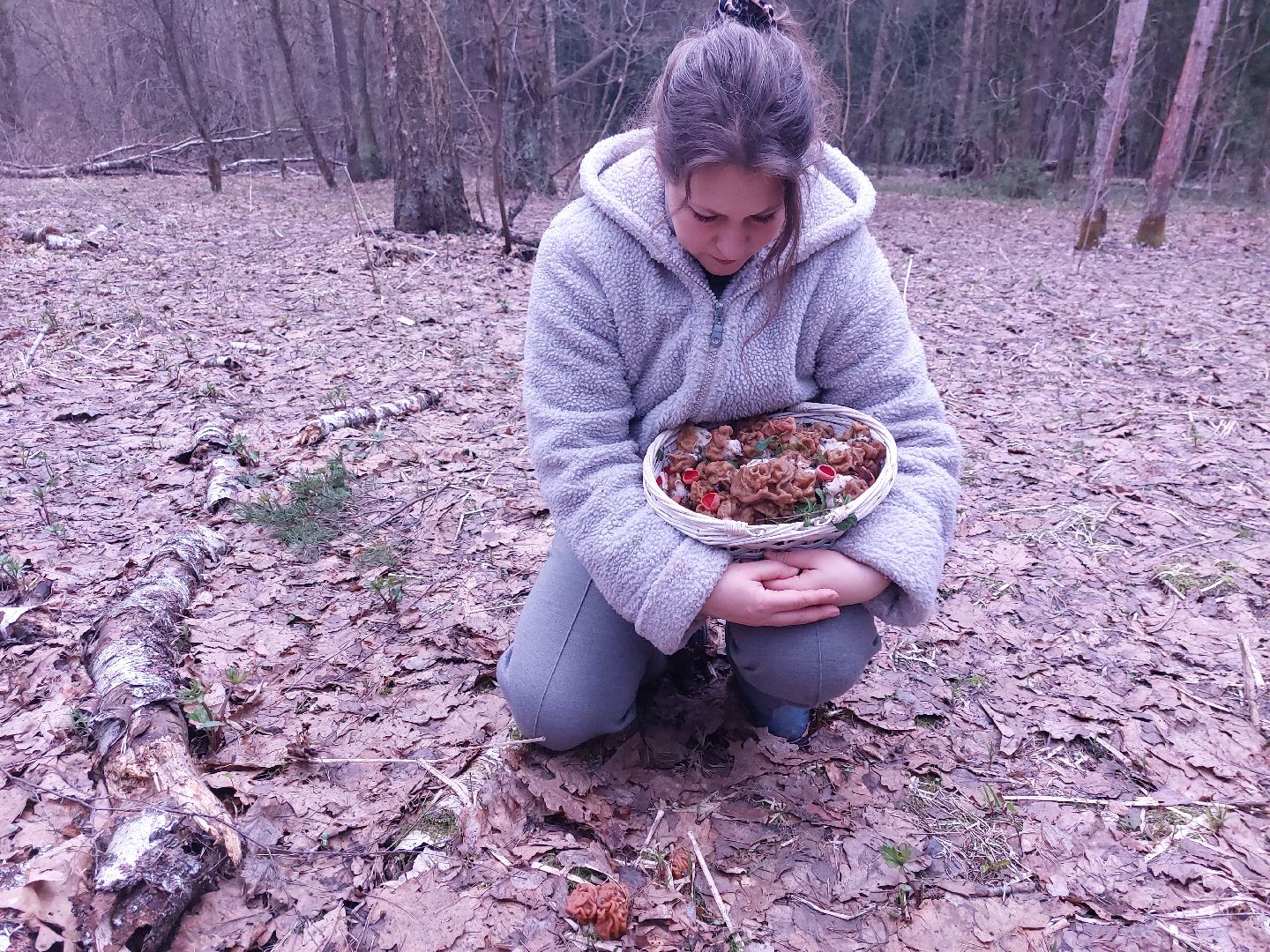 Грибы, Звенигород, Строчки, Саркосцифы