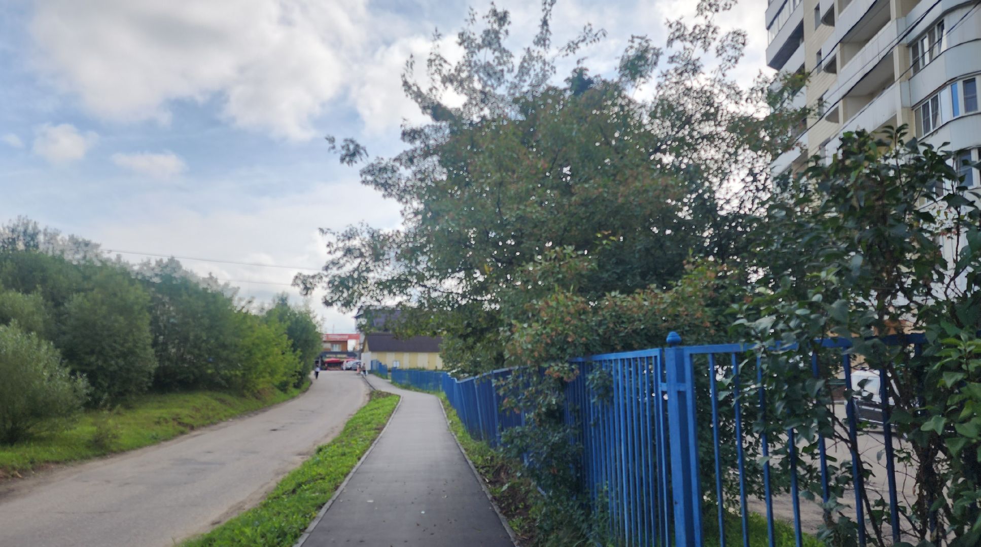 Звенигород, Дороги, Безопасность,