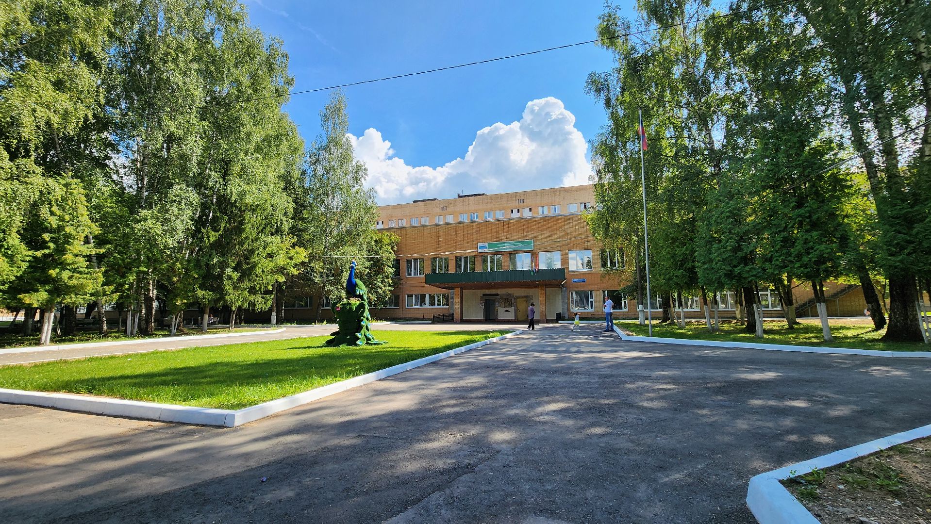 Солнечногорск, медицина, роддом, история спасения,