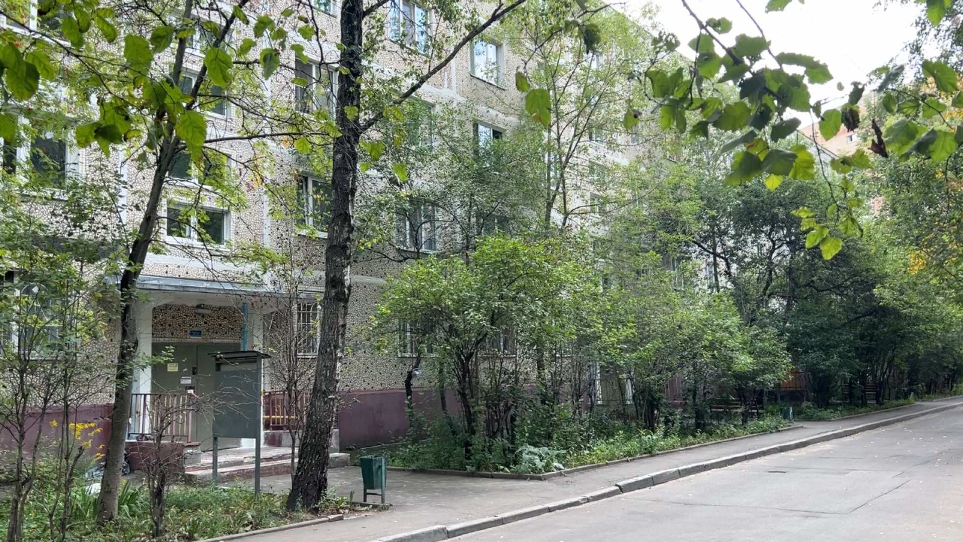 химки, жкх, ремонт подъездов, текущий ремонт,