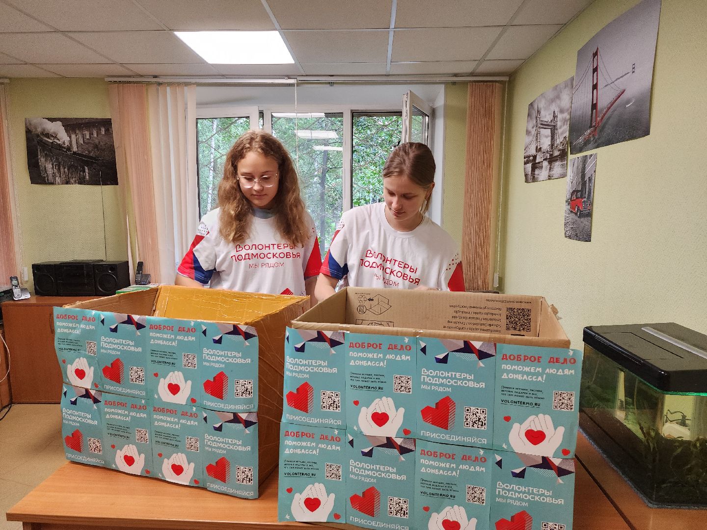 гуманитарная помощь, волонтеры Ленинского округа, видное, курская область,
