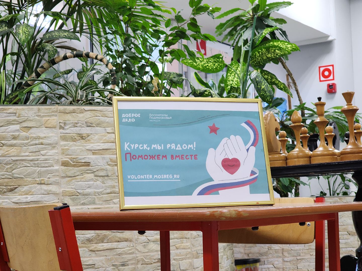 Руза, Молодежный центр, гуманитарная помощь, гуманитарная помощь курск, рузский городской округ, московская область, подмосковье,