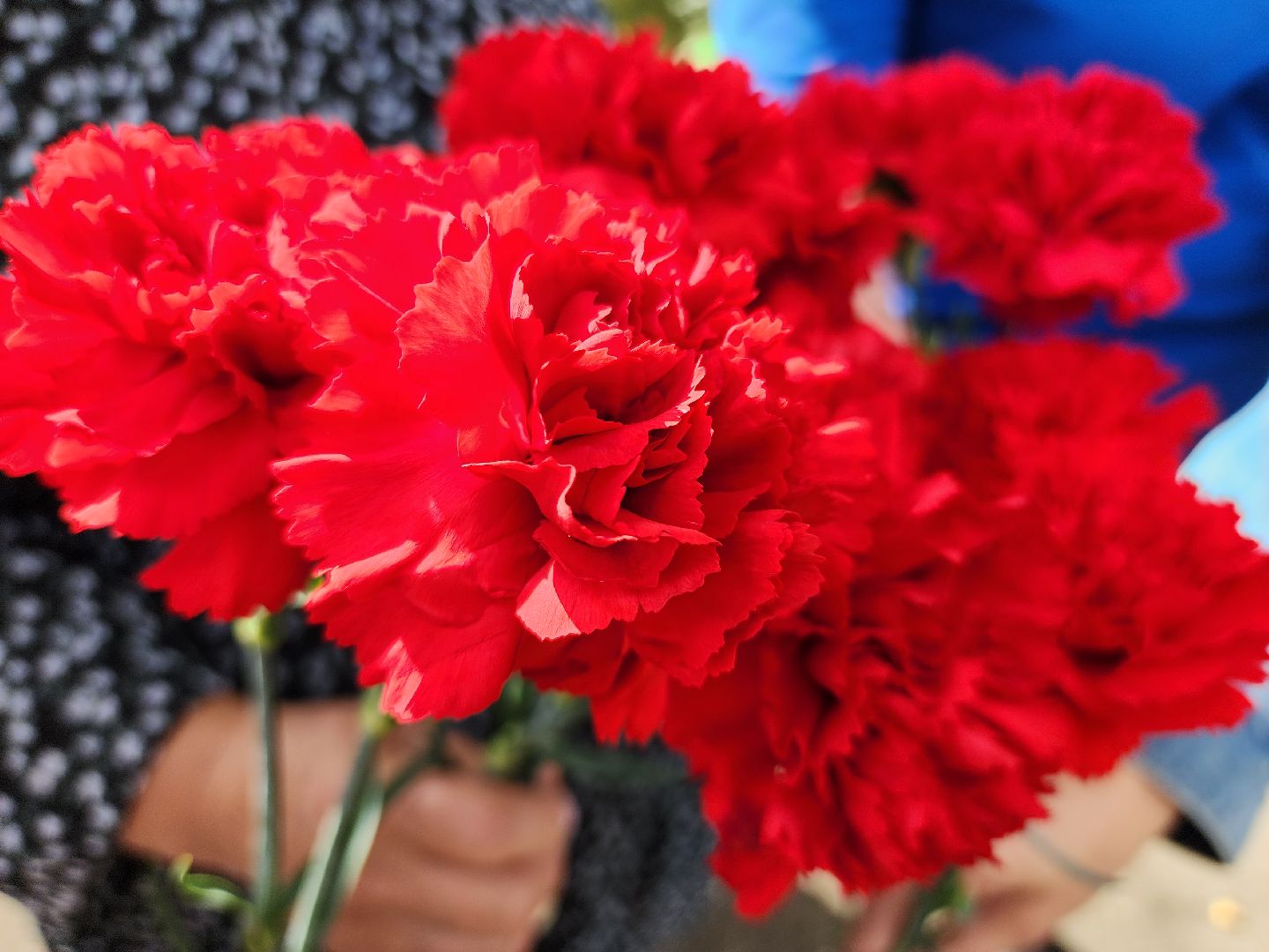 руза, рузский городской округ, тучково, Руза помнит, военнослужащий, московская область, памятная доска, открытие памятной доски,