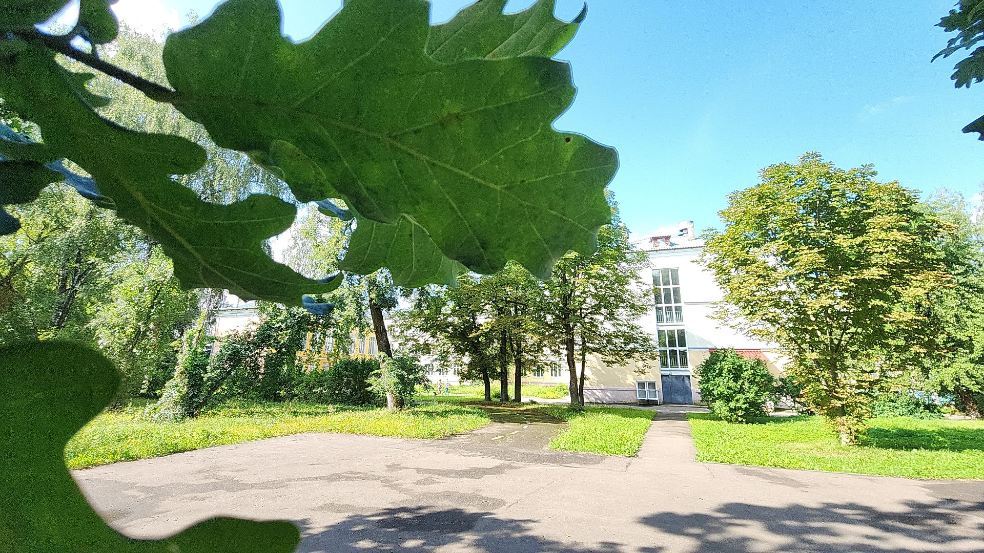 образование, ремонт, косметический ремонт, лицей 14, электросталь, новый учебный год, новый учебный год 2024,