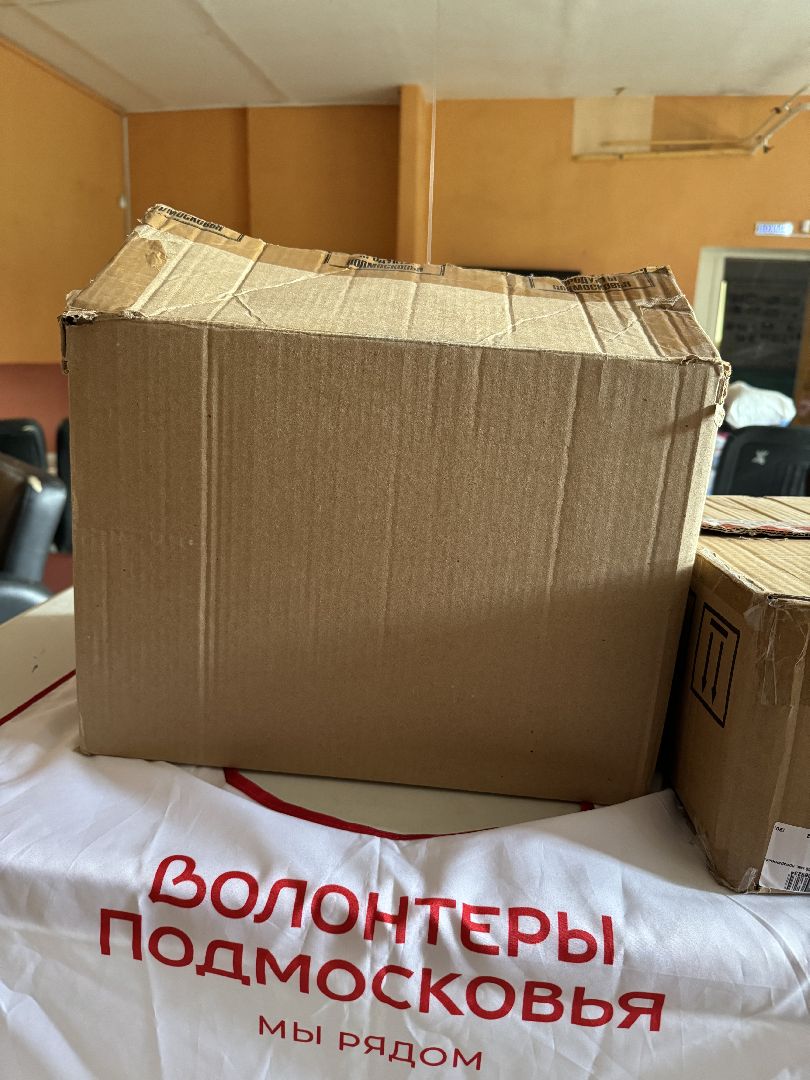 молодежный центр, фрязино, помощь, курская область,