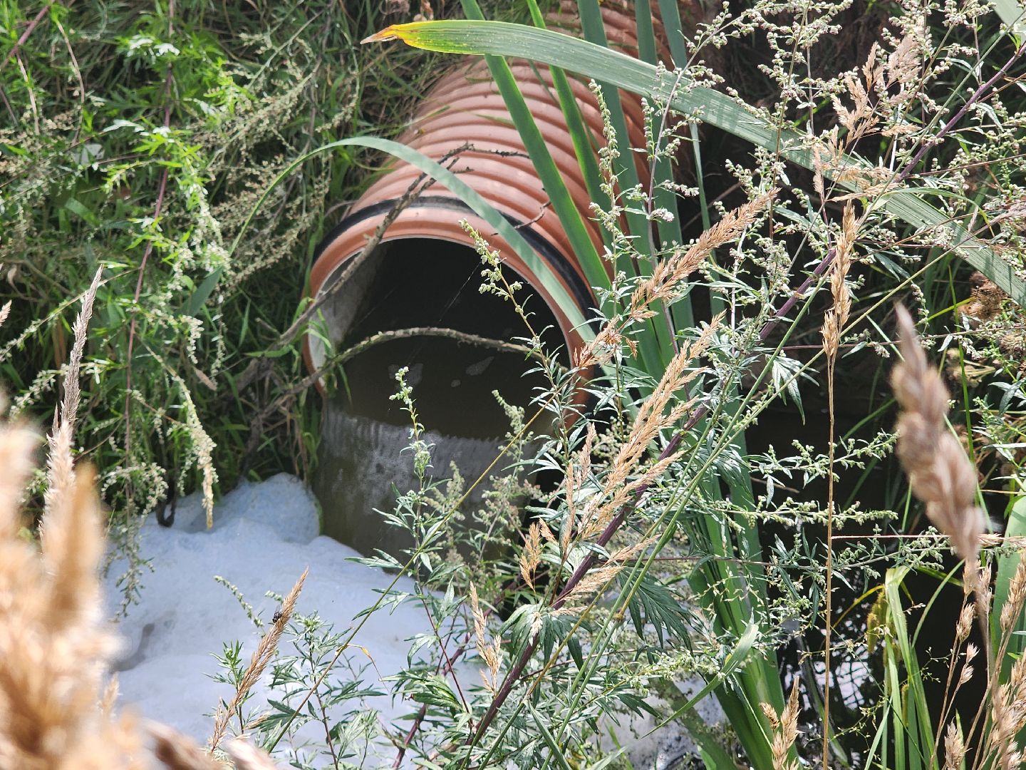 очистные сооружения, очистка водоема, мытищи, экология,