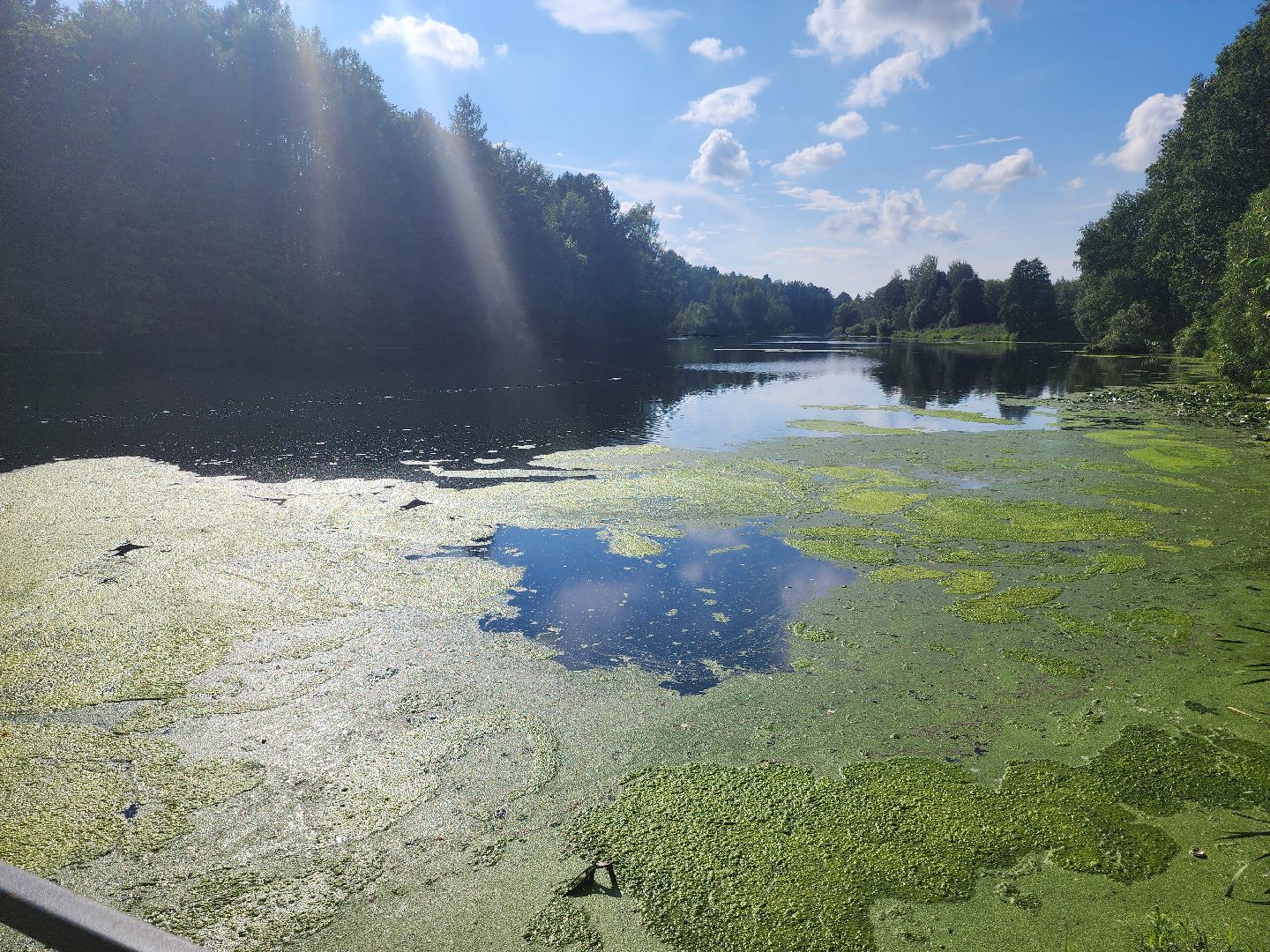 очистные сооружения, очистка водоема, мытищи, экология,