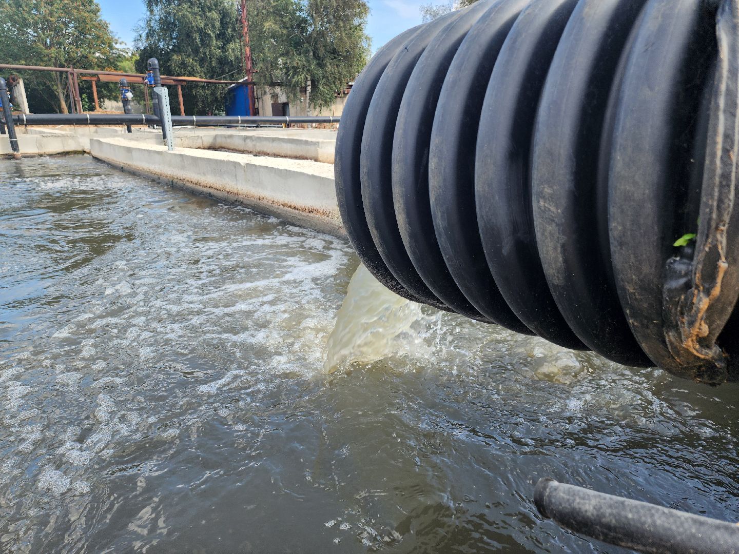 очистные сооружения, очистка водоема, мытищи, экология,