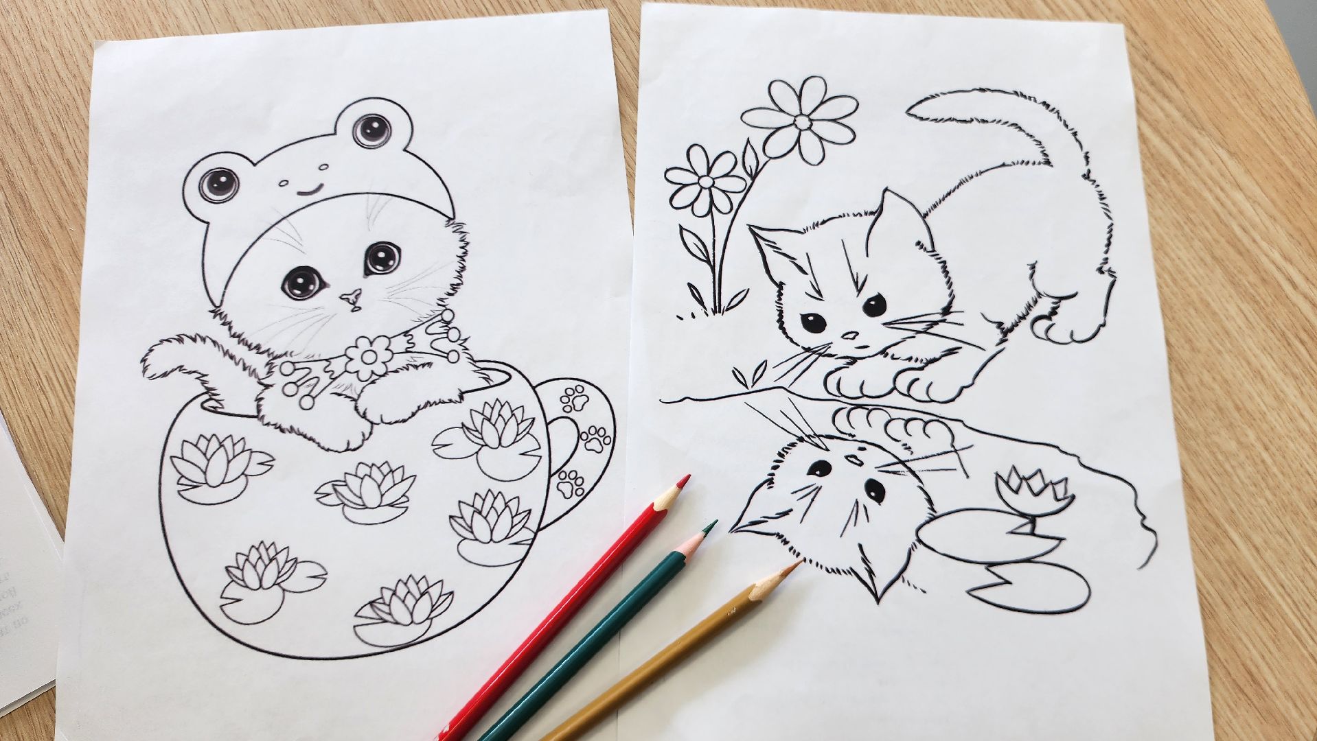 шатура, культурная шатура, день кошек, библиотекарь,