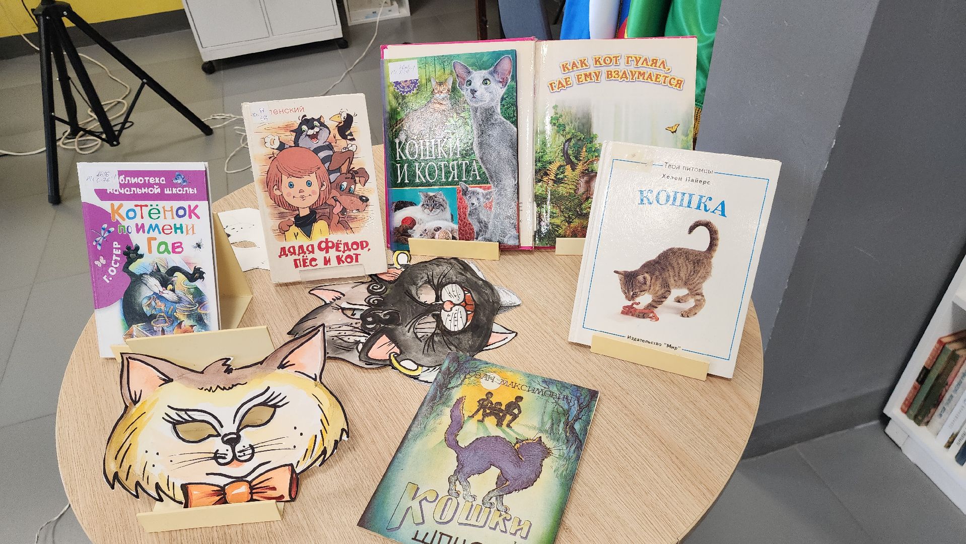 шатура, культурная шатура, день кошек, библиотекарь,