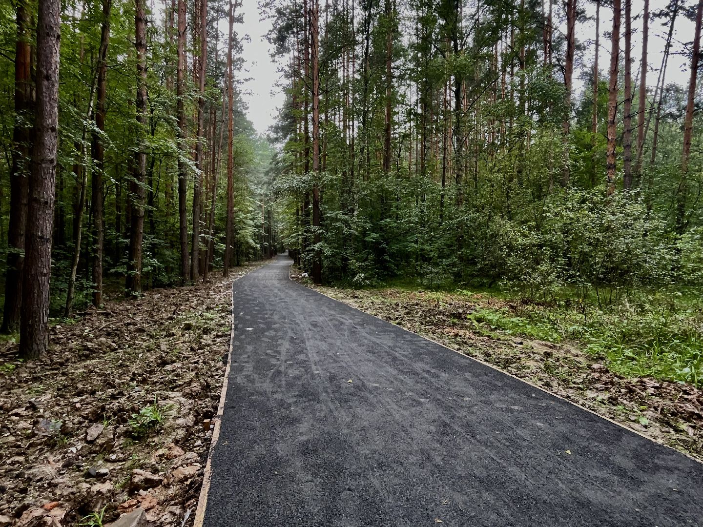 наро-фоминский городской округ, апрелевка, лесопарк дубки, благоустройство 2024, парки в лесу,
