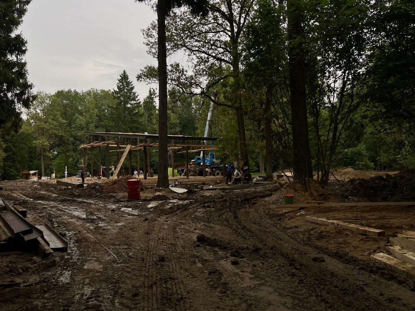 наро-фоминский городской округ, апрелевка, лесопарк дубки, благоустройство 2024, парки в лесу,