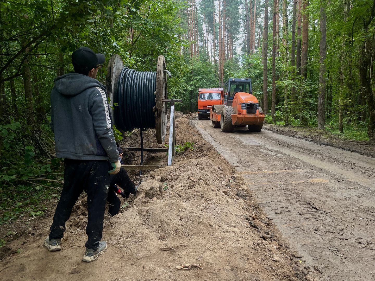 наро-фоминский городской округ, апрелевка, лесопарк дубки, благоустройство 2024, парки в лесу,