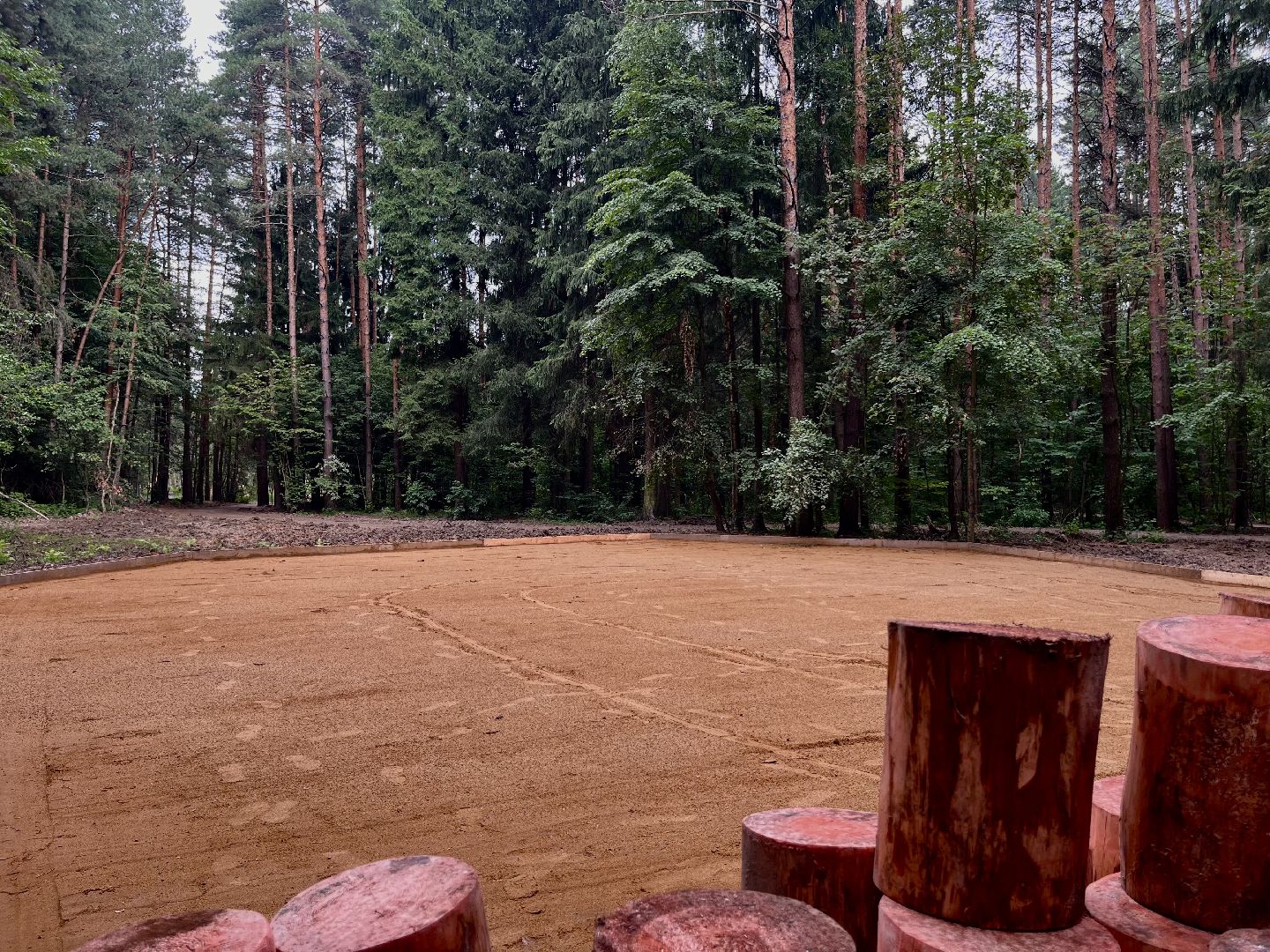 наро-фоминский городской округ, апрелевка, лесопарк дубки, благоустройство 2024, парки в лесу,