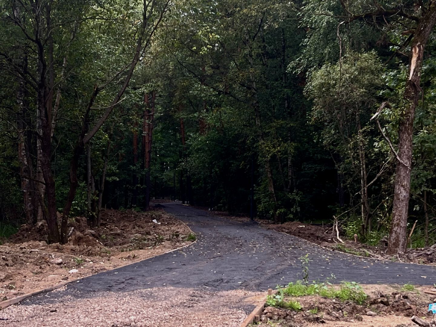 наро-фоминский городской округ, апрелевка, лесопарк дубки, благоустройство 2024, парки в лесу,