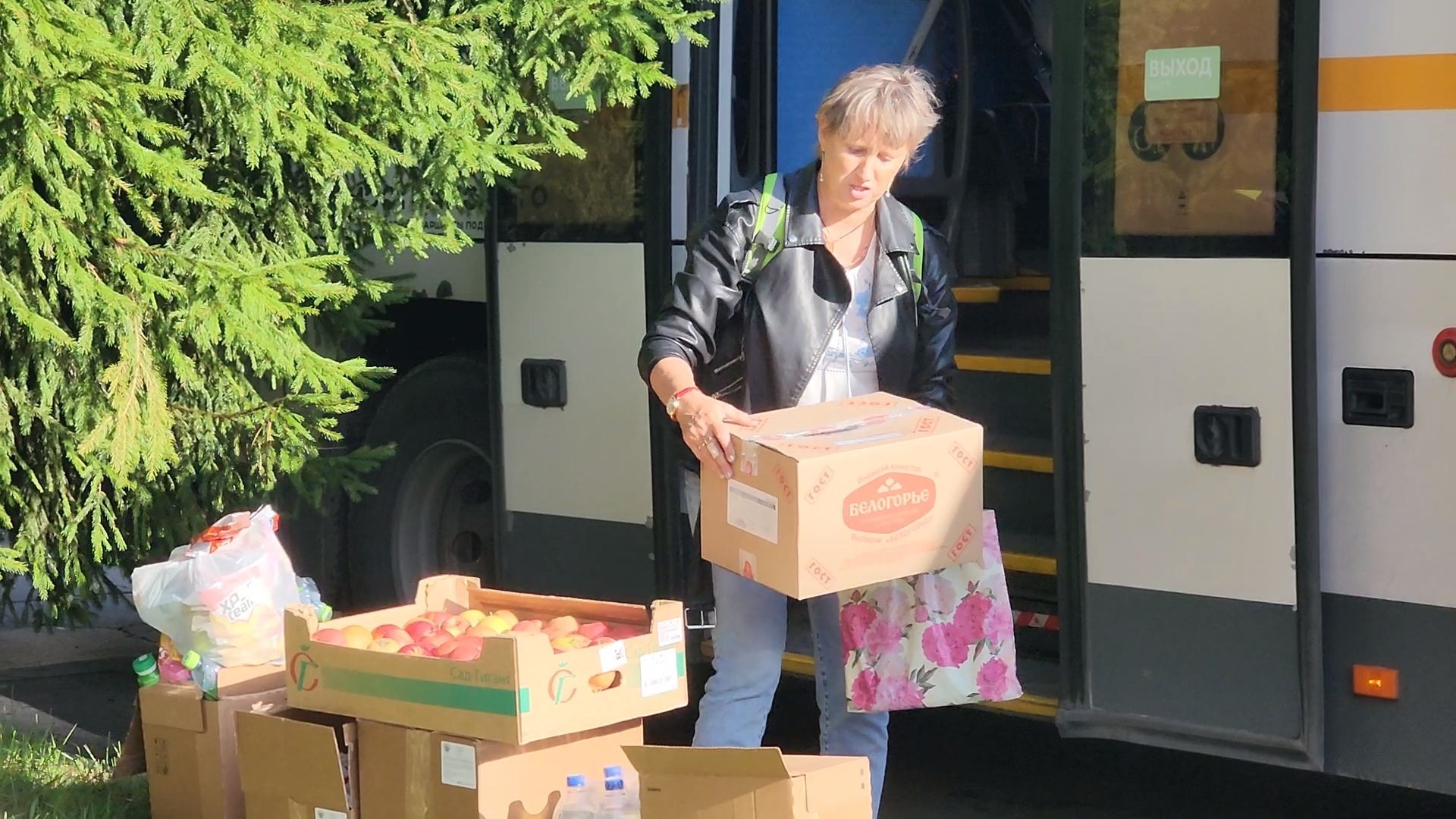 пушкино, лагерь, дети