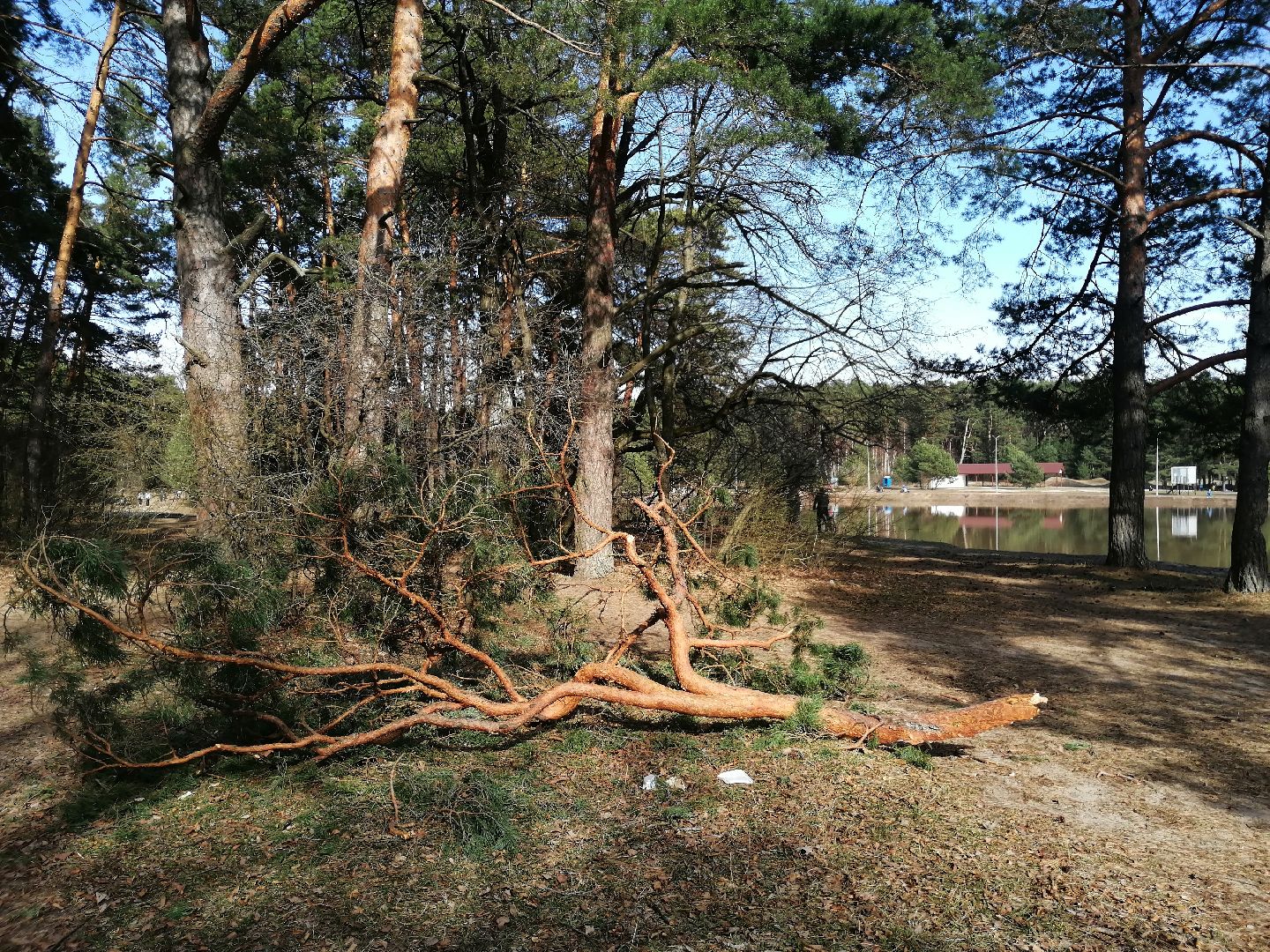 Протвино, перемены, отдых, карьер, весна, вода