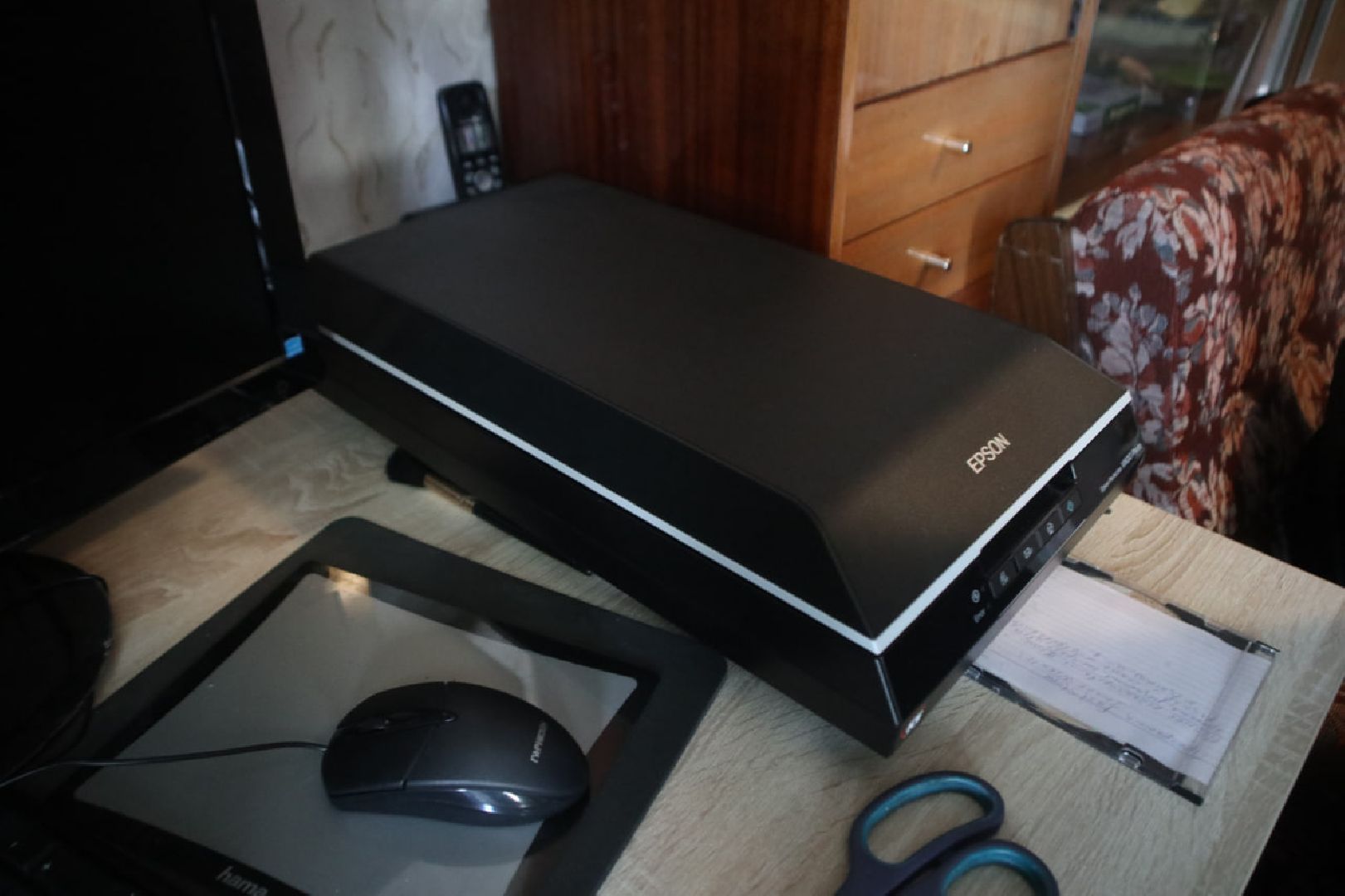 Пущино, общество, фотография,