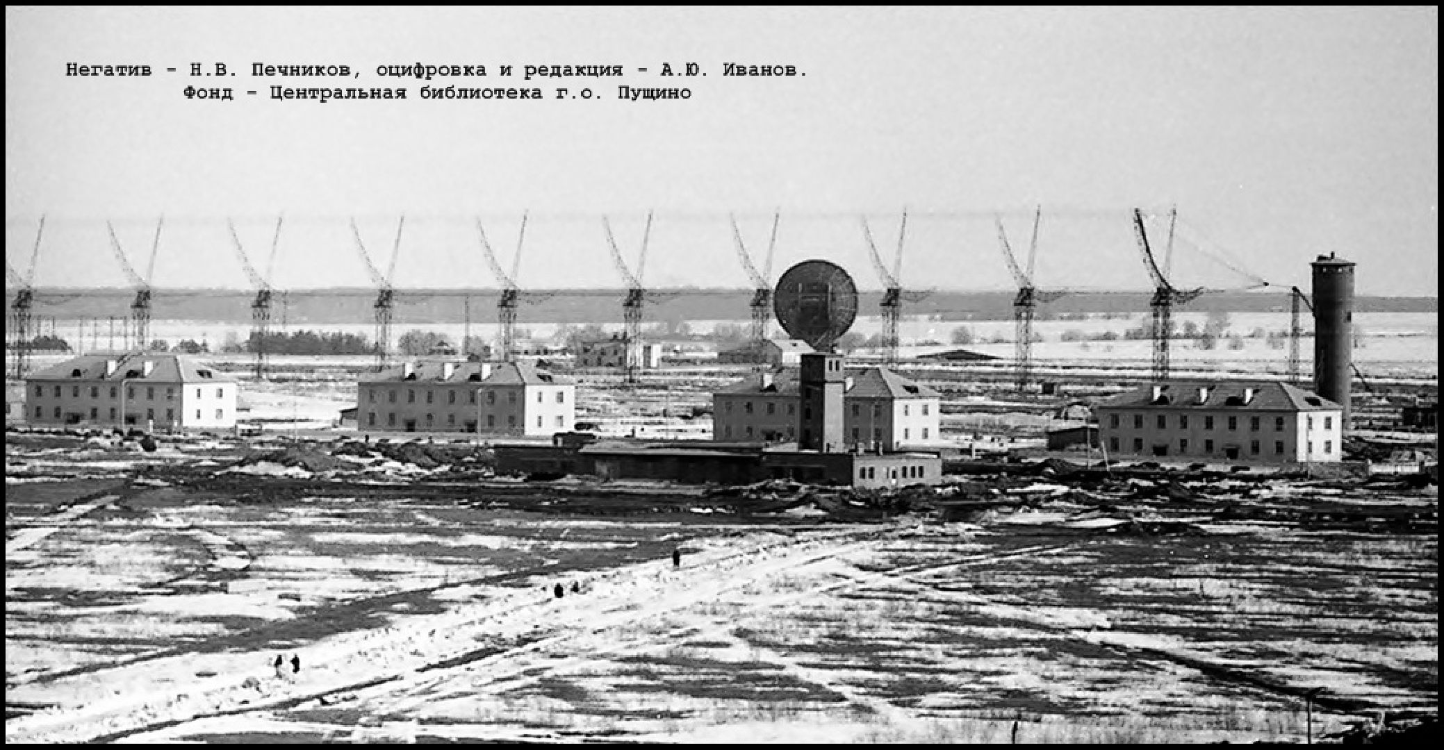 Пущино, общество, фотография,