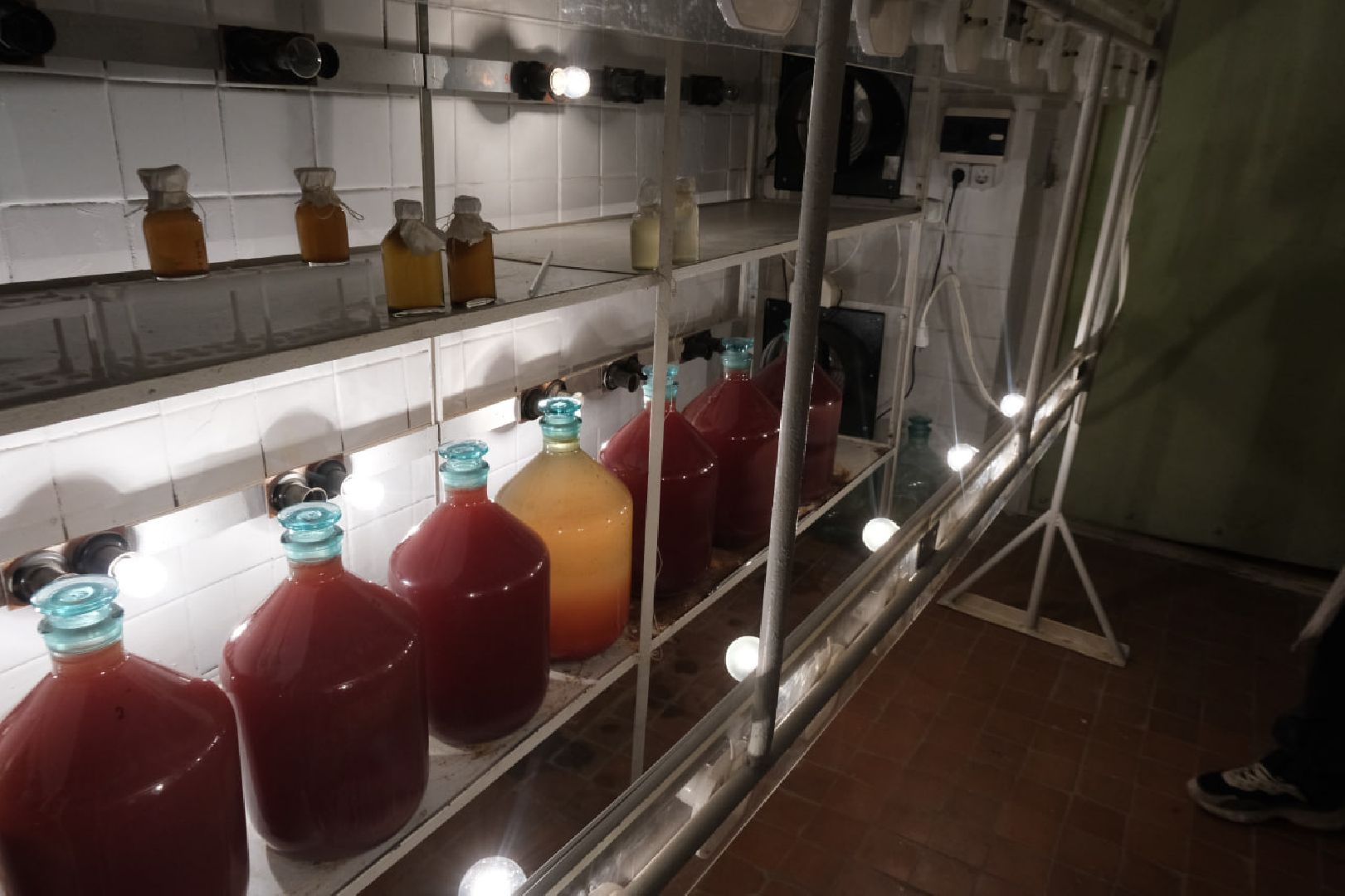 молодые ученые, пущино, серпухов, академия наук,открытия, наука,