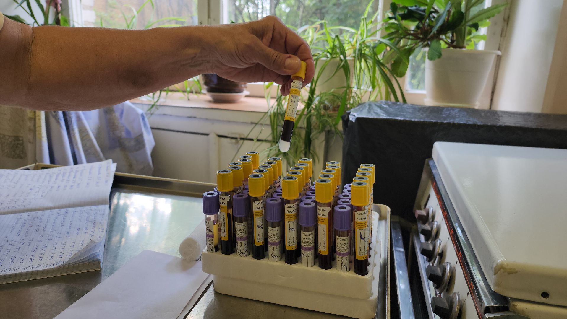 Врачи, Лобня, прием врача,