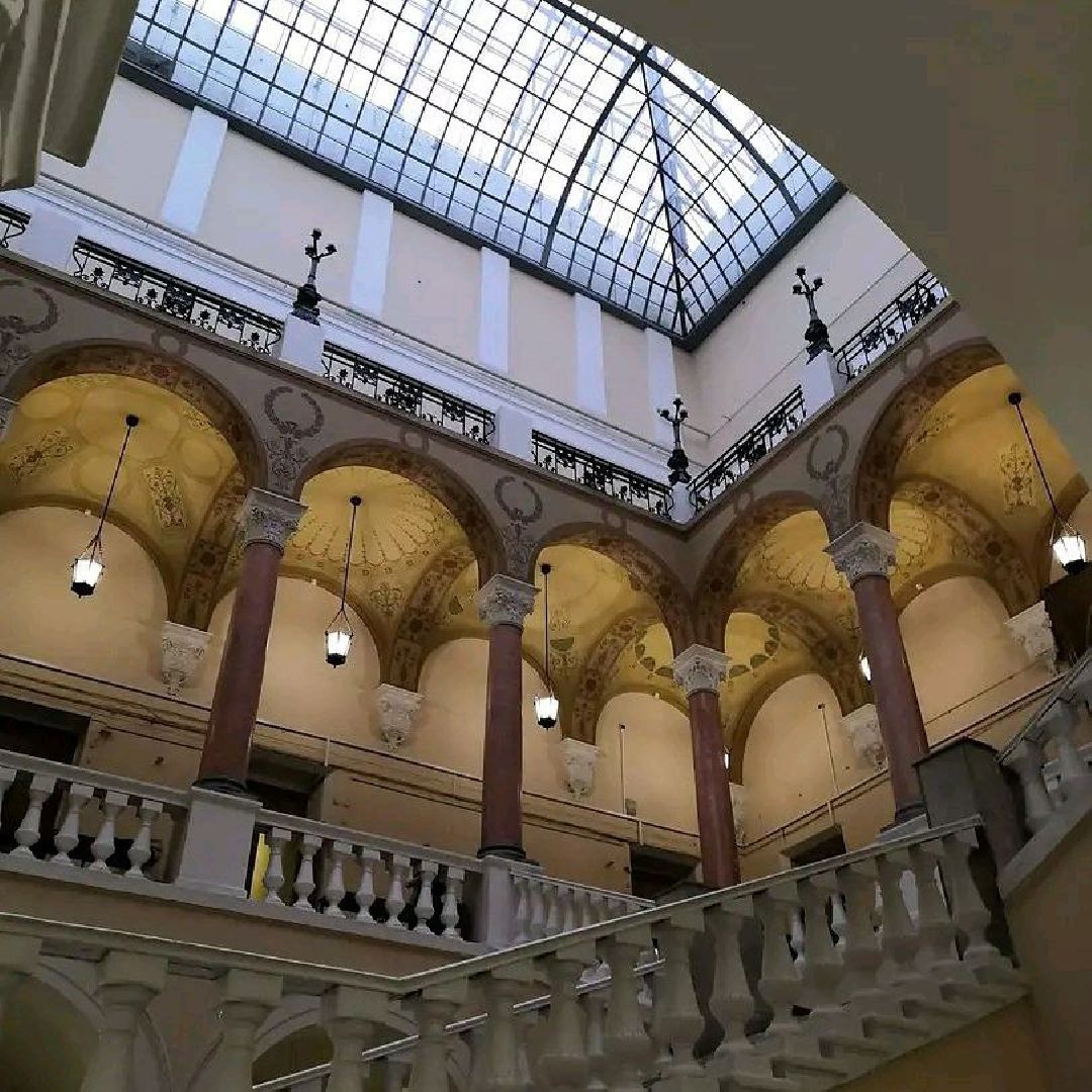 шаховская, 100 баллов по егэ, студентка мгу, выпускницы,