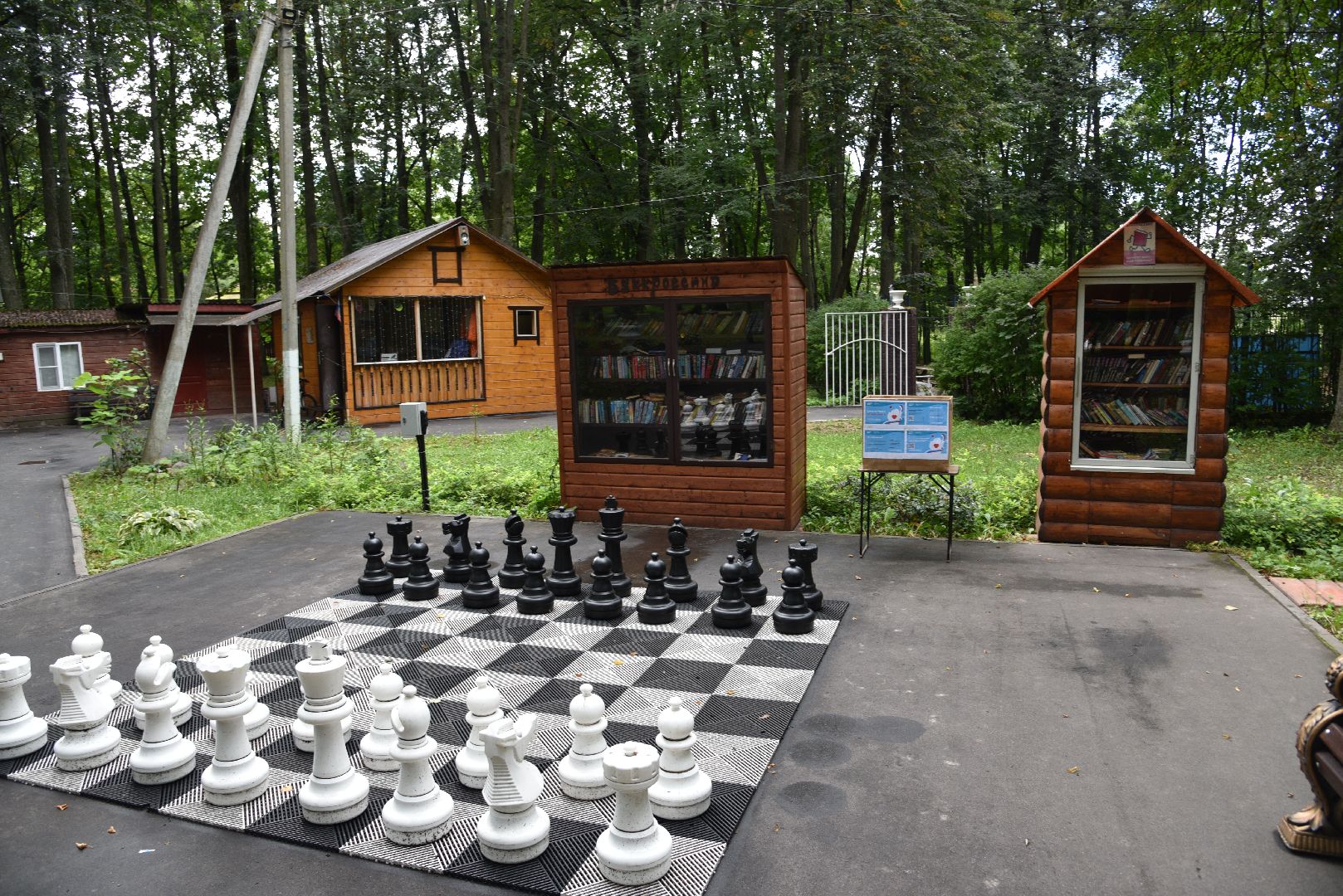 лотошино, волонтеры, волонтеры подмосковья, гуманитарная помощь курск, гуманитаная помощь, сво,