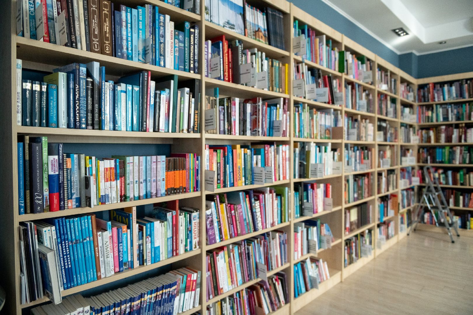 лыткарино, культура, библиотека, президент, грант