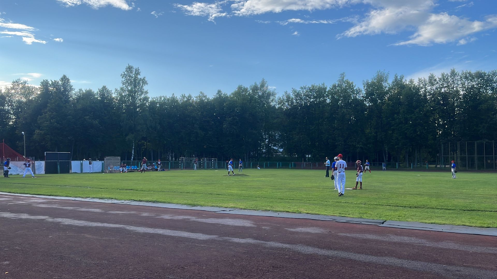 спорт, чемпионат, бейсбол, чемпионат по бейсболу,