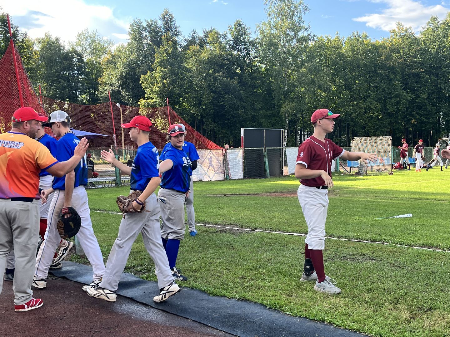 спорт, чемпионат, бейсбол, чемпионат по бейсболу,