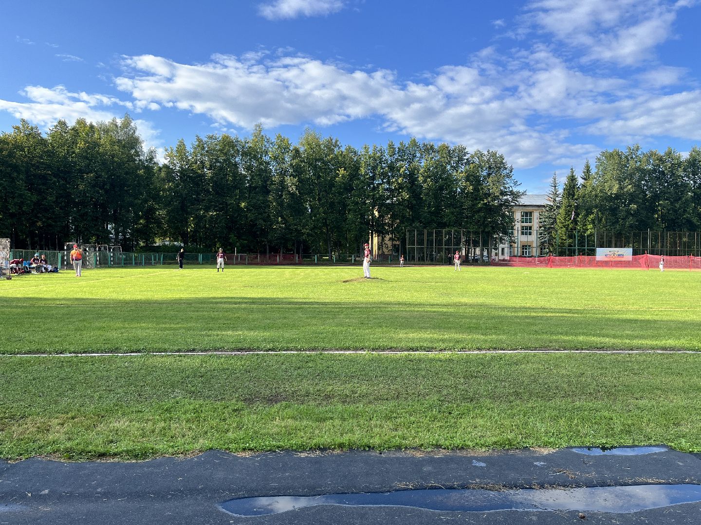 спорт, чемпионат, бейсбол, чемпионат по бейсболу,