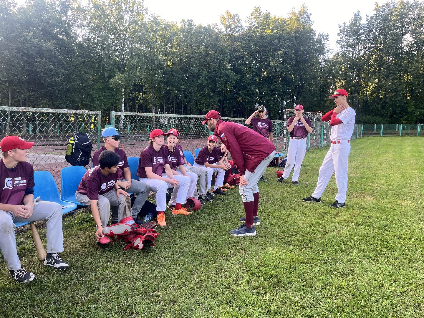 спорт, чемпионат, бейсбол, чемпионат по бейсболу,