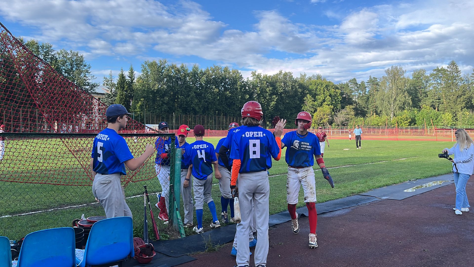 спорт, чемпионат, бейсбол, чемпионат по бейсболу,