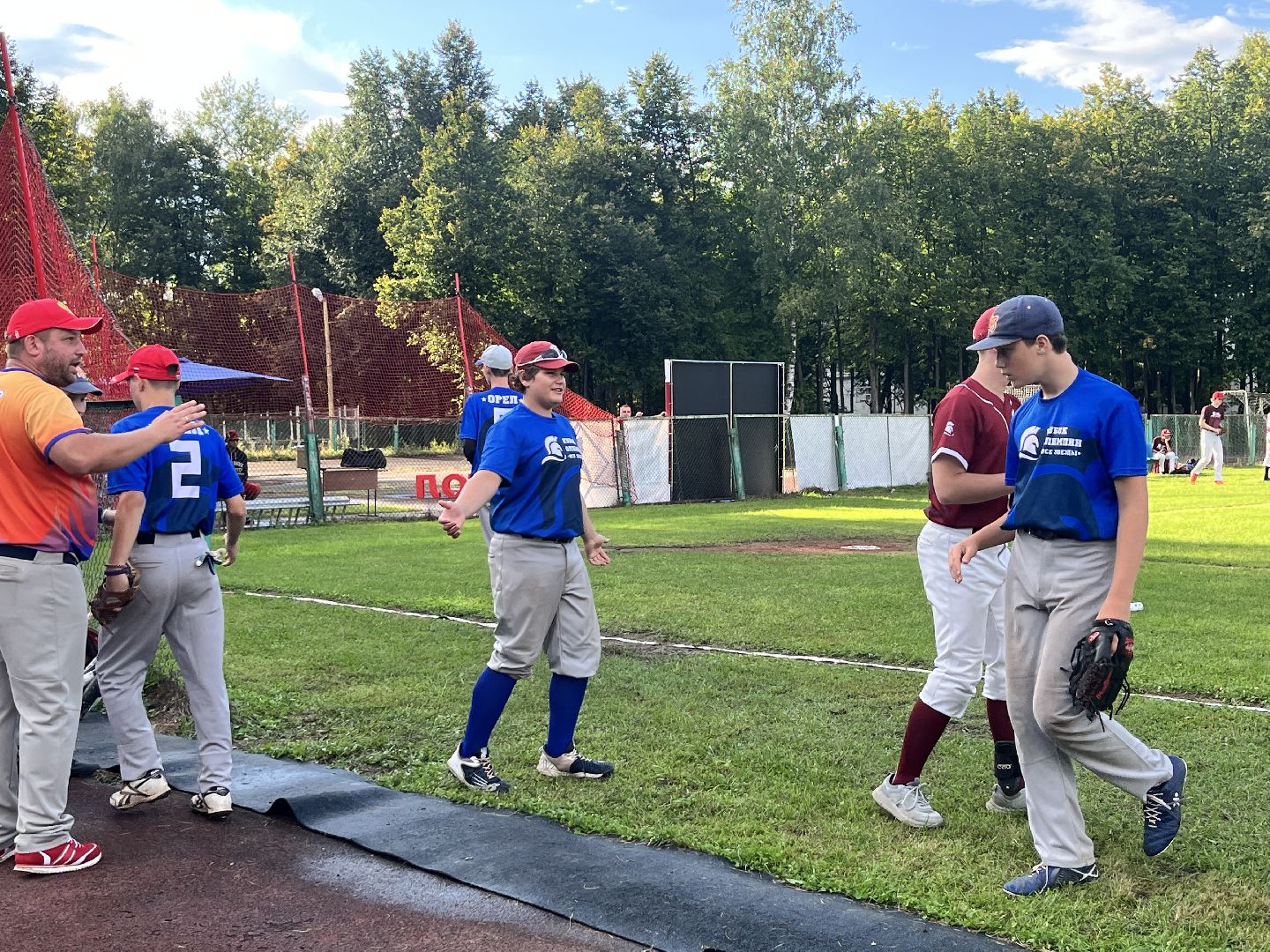 спорт, чемпионат, бейсбол, чемпионат по бейсболу,