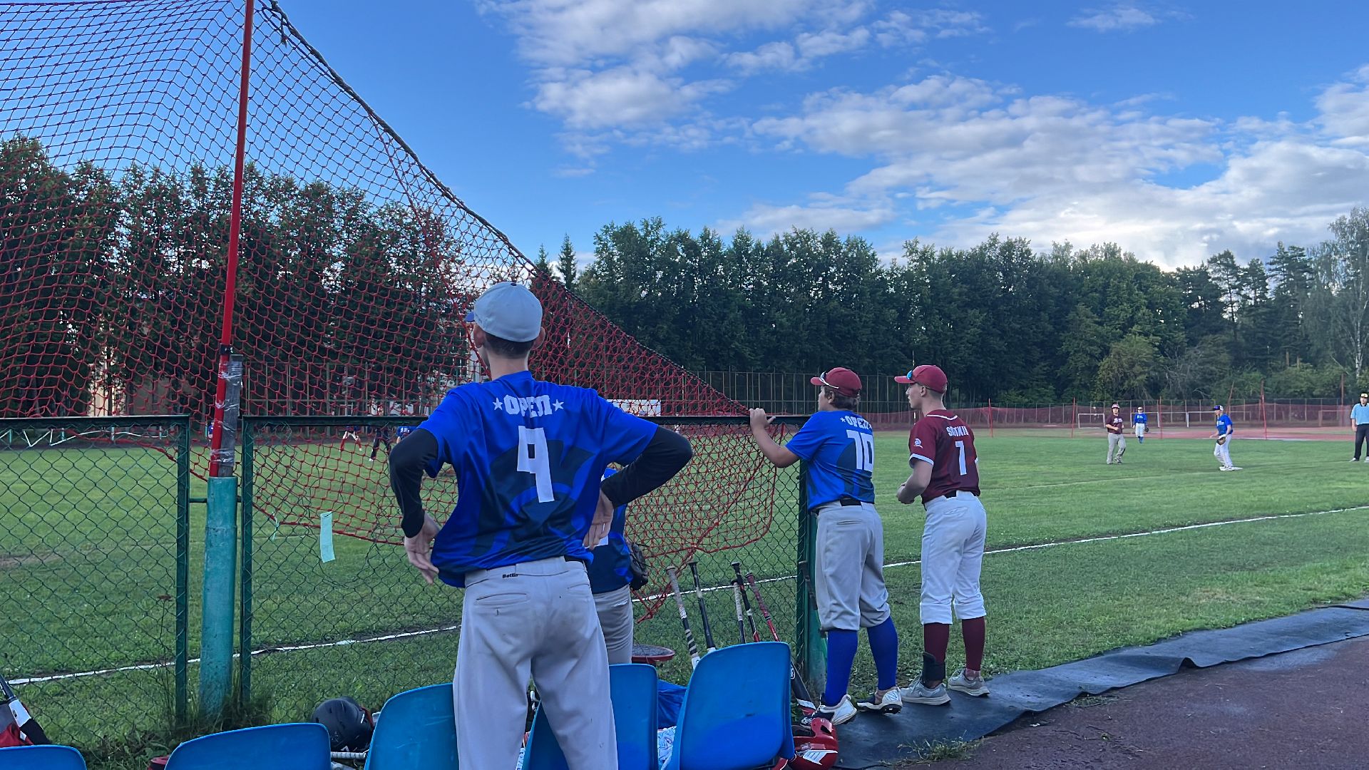 спорт, чемпионат, бейсбол, чемпионат по бейсболу,