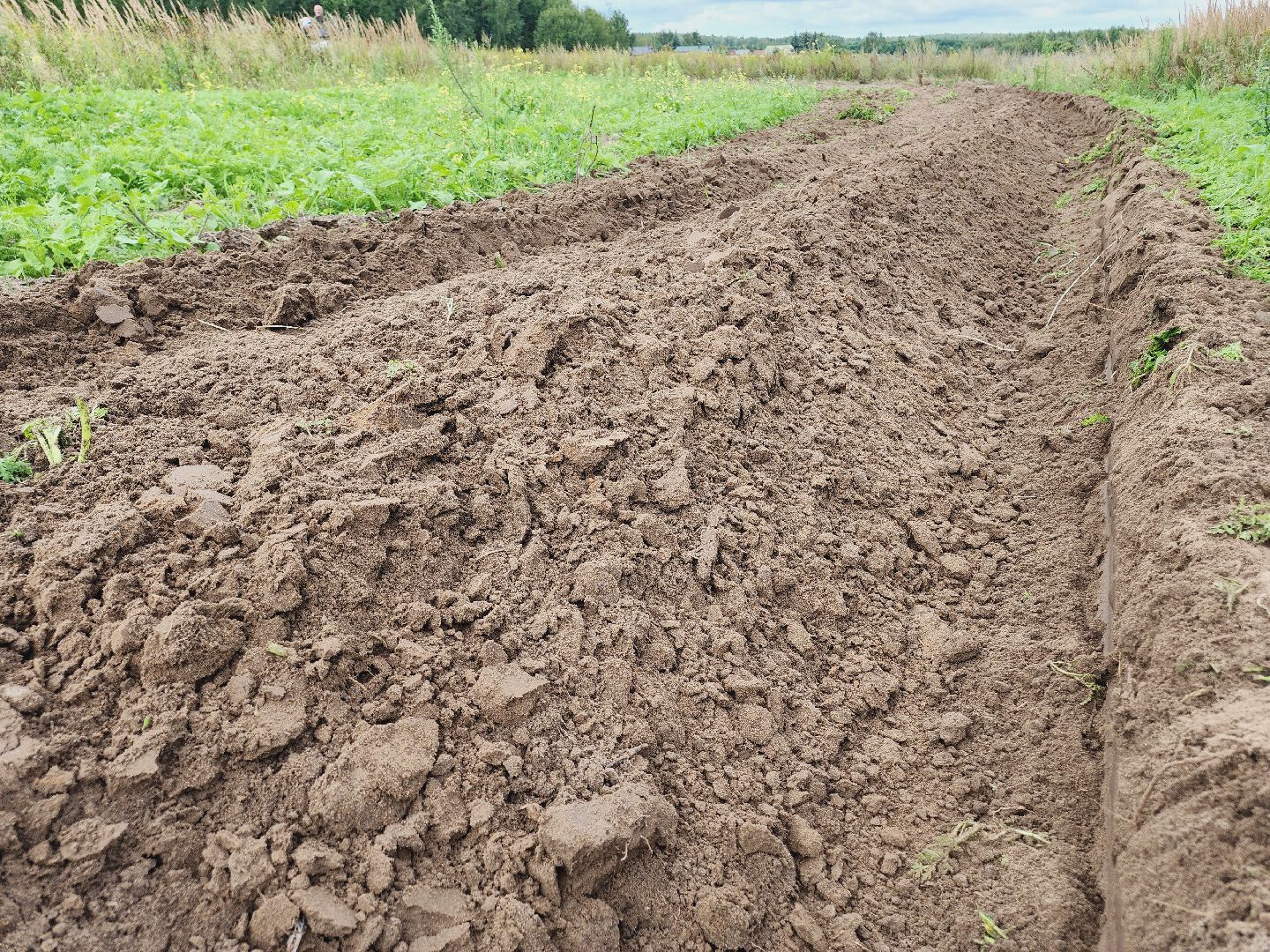 Егорьевск, Подмосковье, Московская область, противопожарная безопасность,
