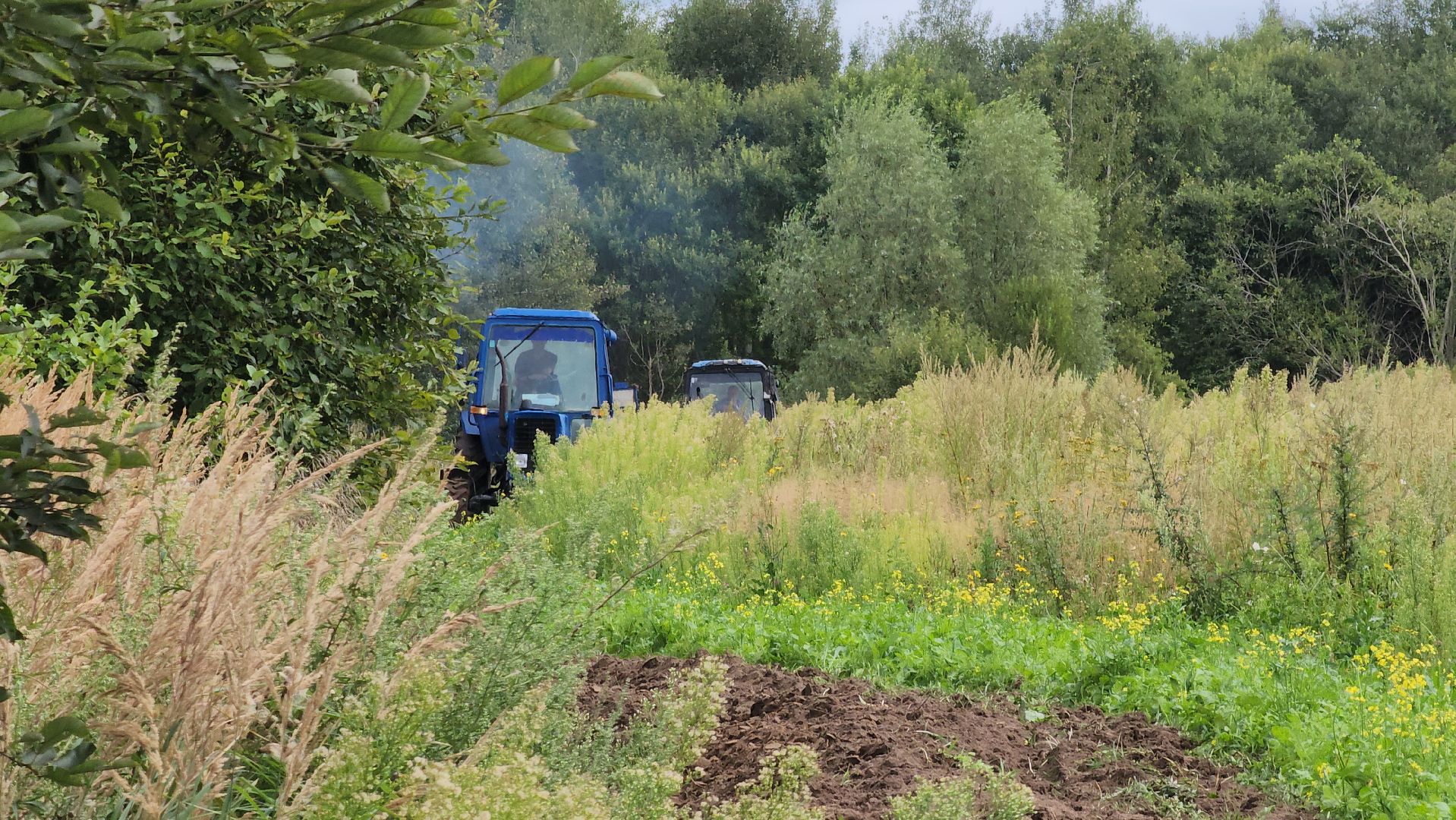 Егорьевск, Подмосковье, Московская область, противопожарная безопасность,