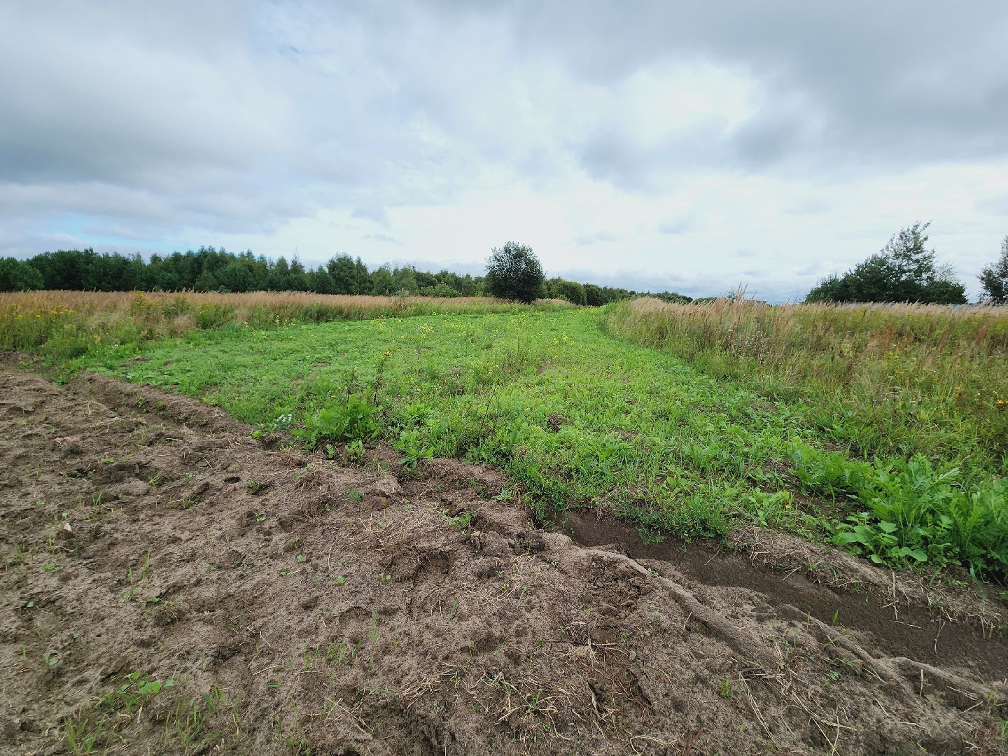 Егорьевск, Подмосковье, Московская область, противопожарная безопасность,