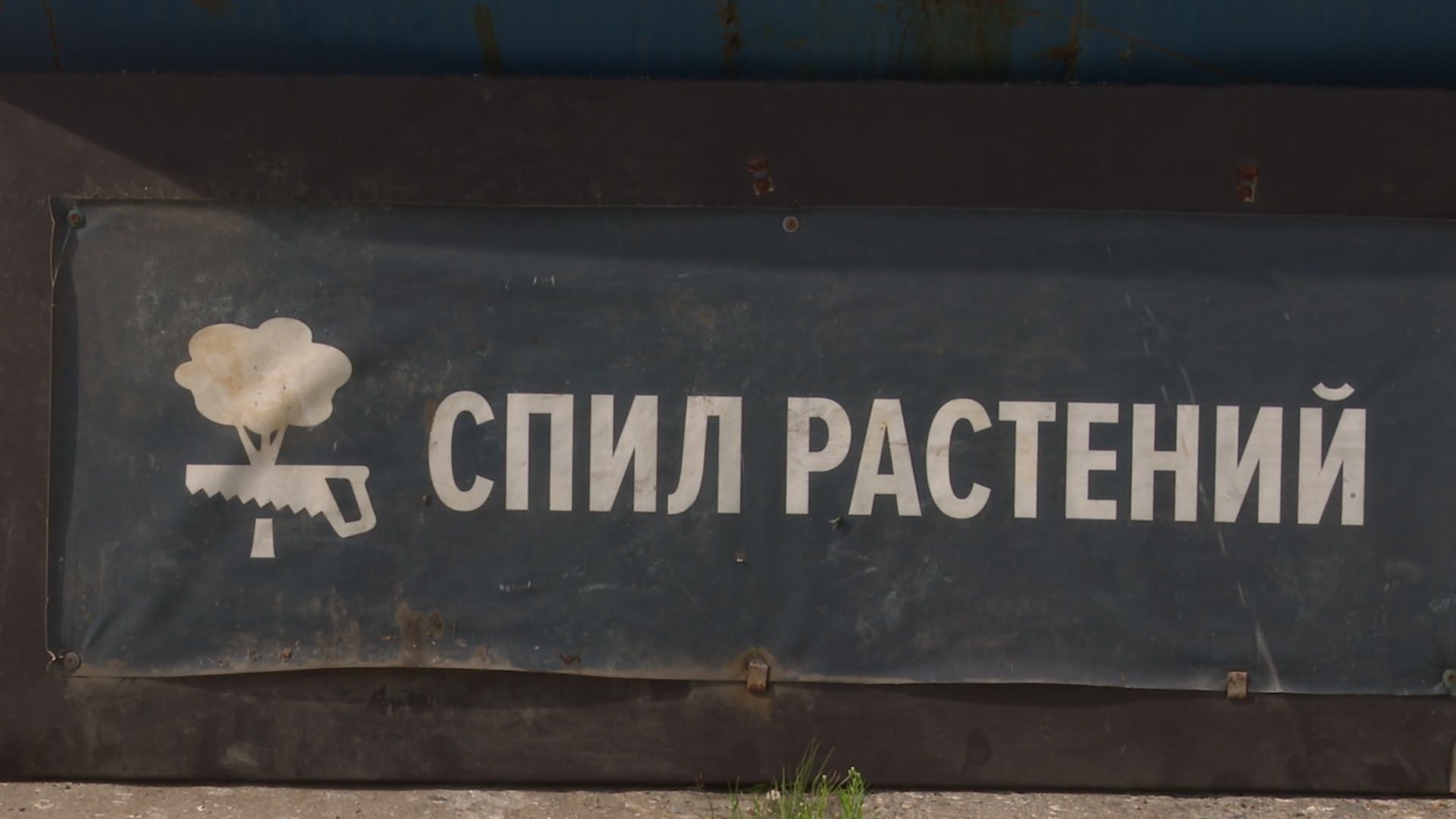 Реутов, экологя, сбор сырья, вторая жизнь, отходы,