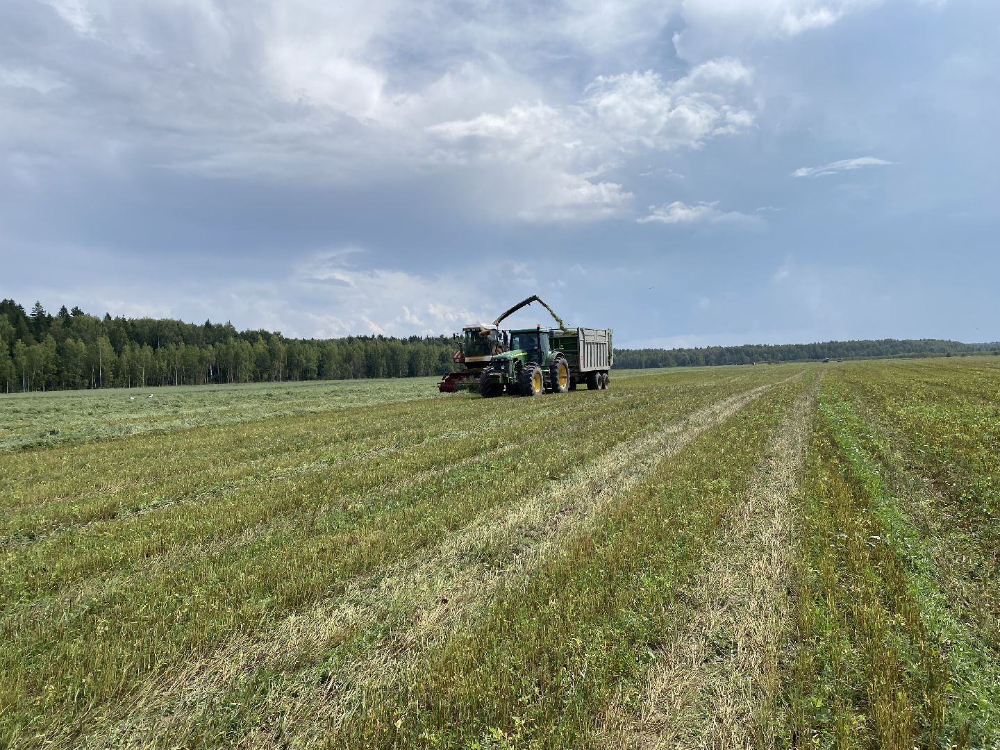 сельское хозяйство, сельскохозяйственное предприятие, совхоз можайский, экономика, экономика подмосковья, можайский городской округ, московская область,