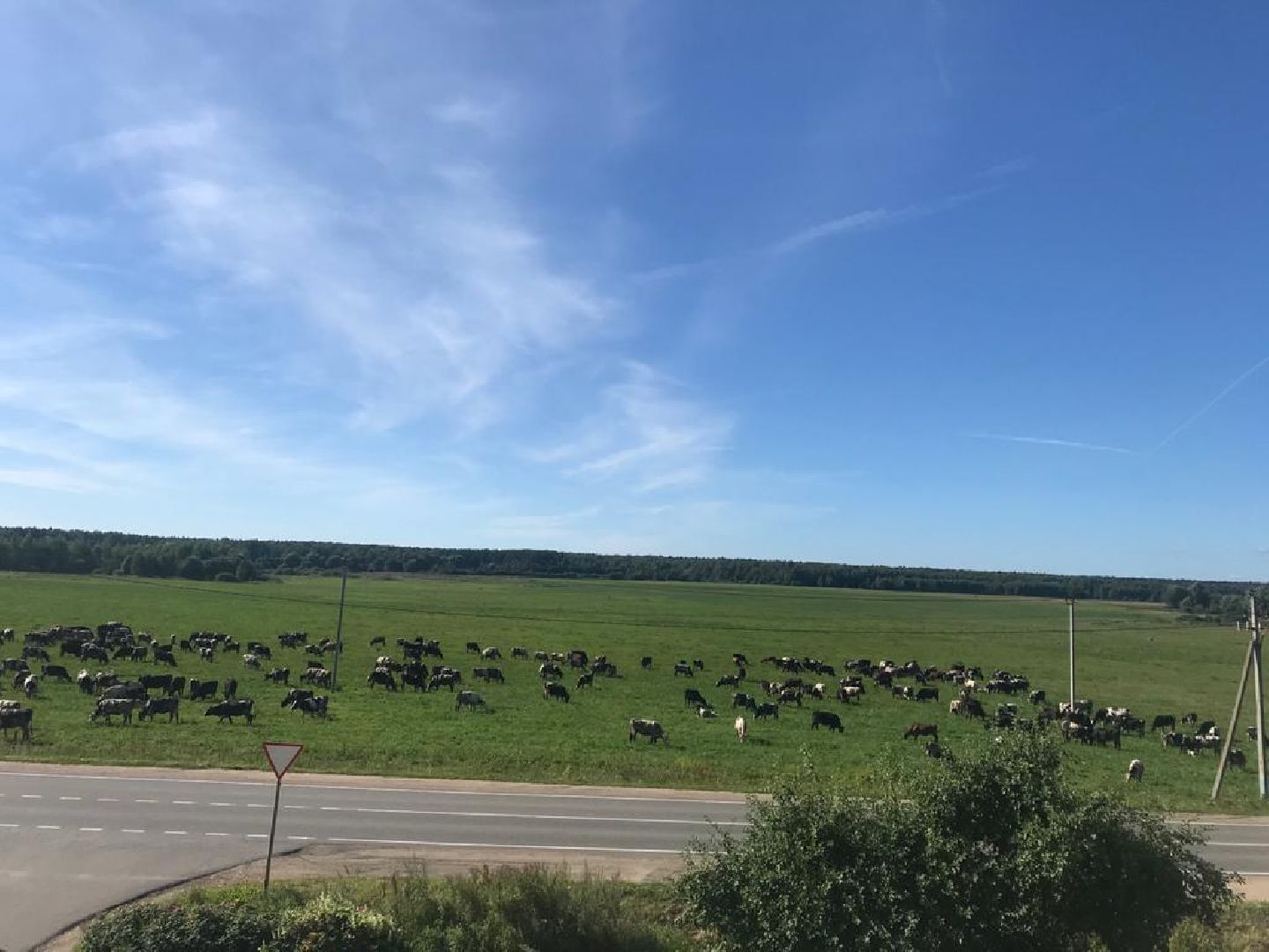 сельское хозяйство, сельскохозяйственное предприятие, совхоз можайский, экономика, экономика подмосковья, можайский городской округ, московская область,