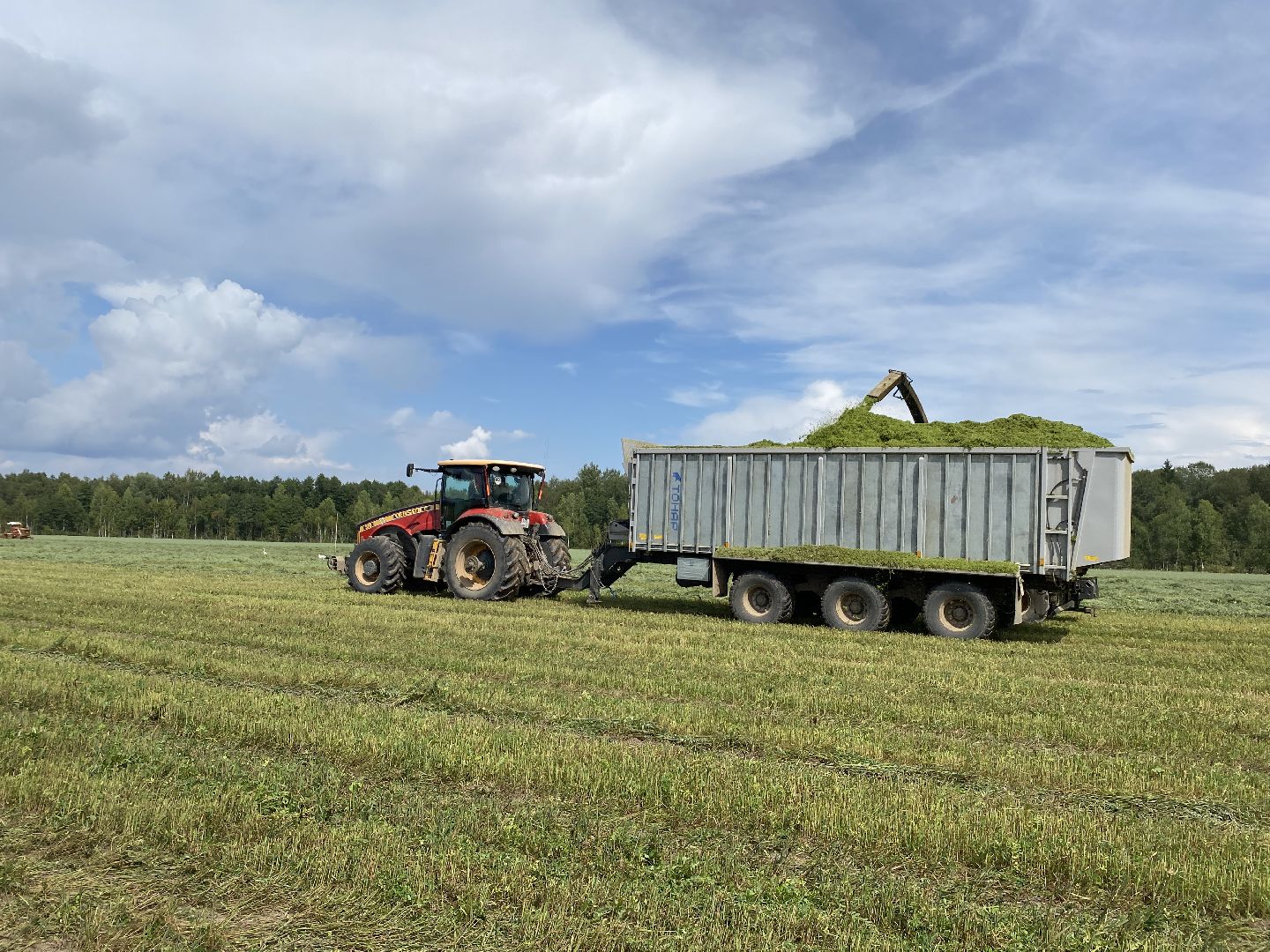 сельское хозяйство, сельскохозяйственное предприятие, совхоз можайский, экономика, экономика подмосковья, можайский городской округ, московская область,
